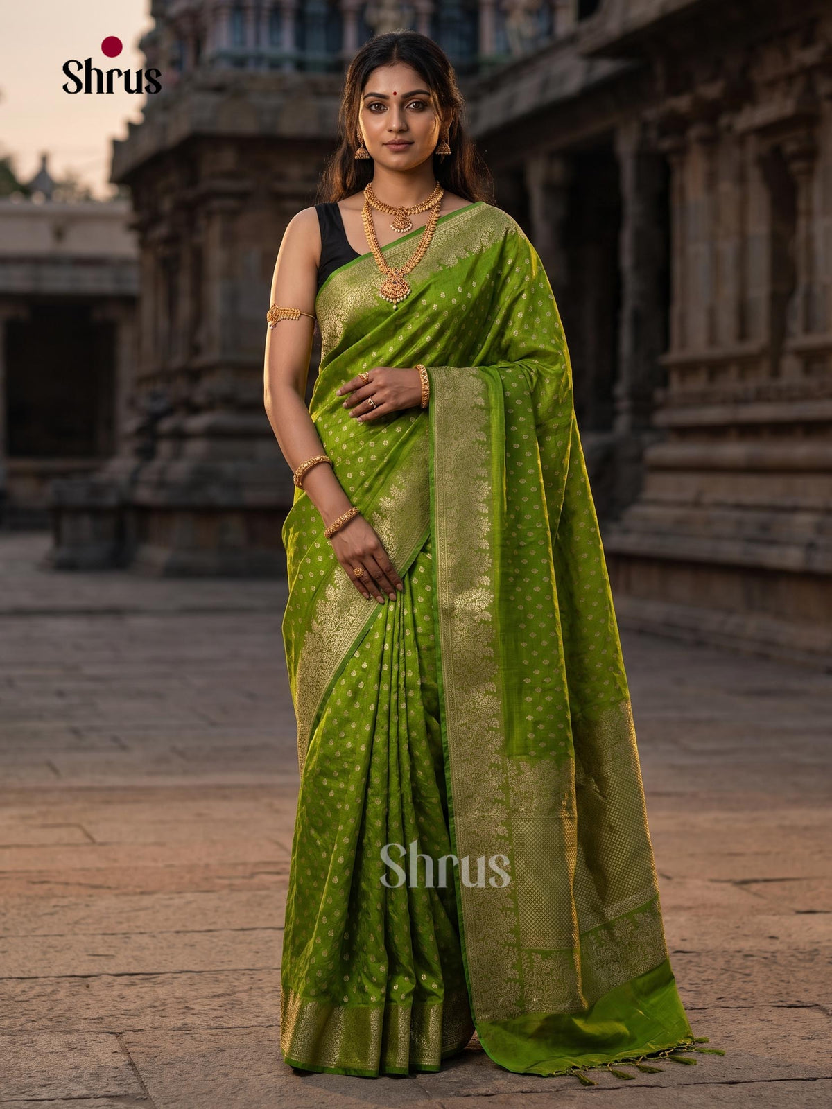 Jute Banaras Saree - EJ19017