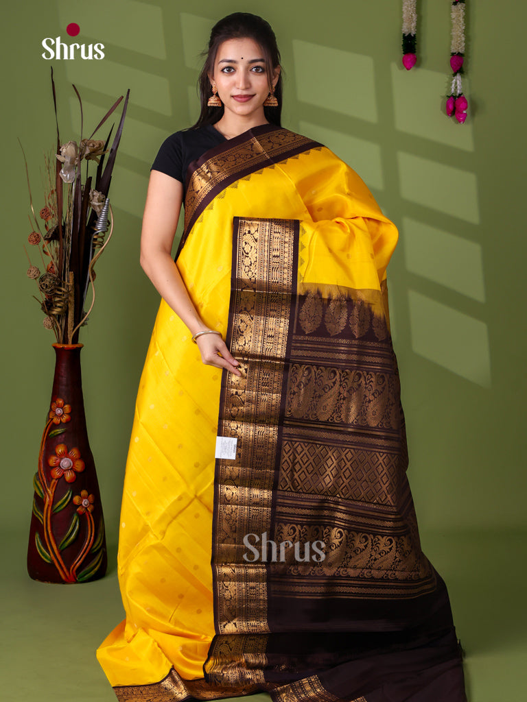 Gadwal silk Saree - EJ23270