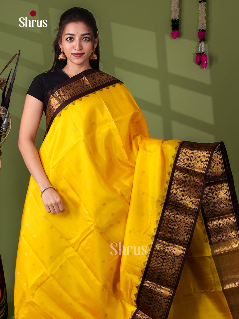 Gadwal silk Saree - EJ23270