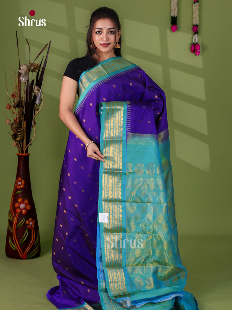 Gadwal silk Saree - EJ23272