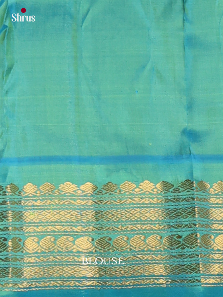 Gadwal silk Saree - EJ23272