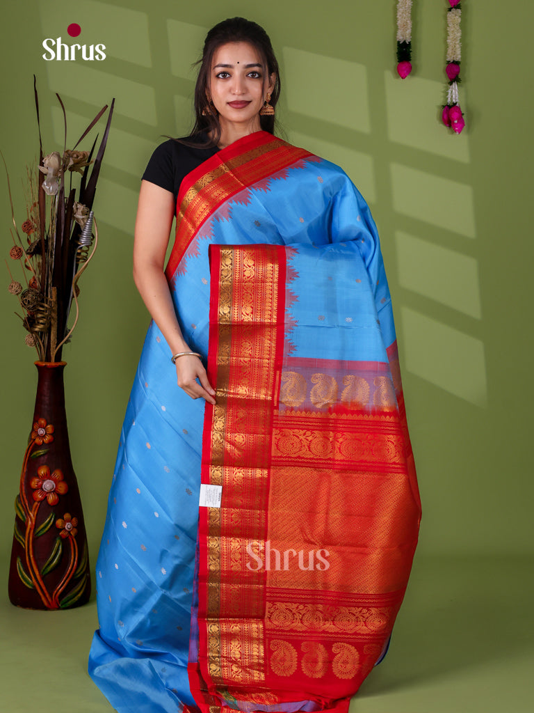 Gadwal silk Saree - EJ23273