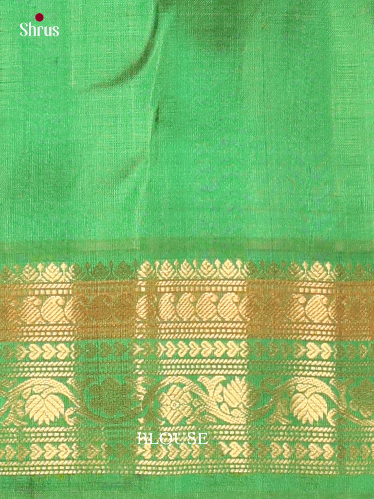 Gadwal silk Saree - EJ23276