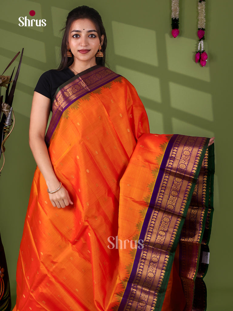 Gadwal silk Saree - EJ23278