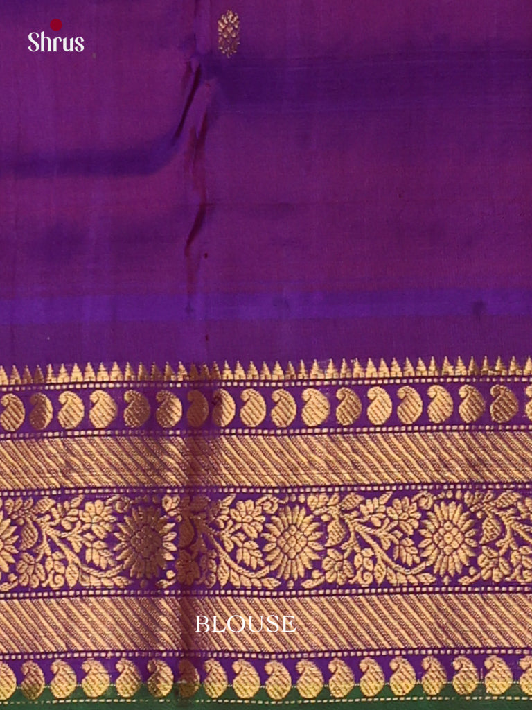 Gadwal silk Saree - EJ23278