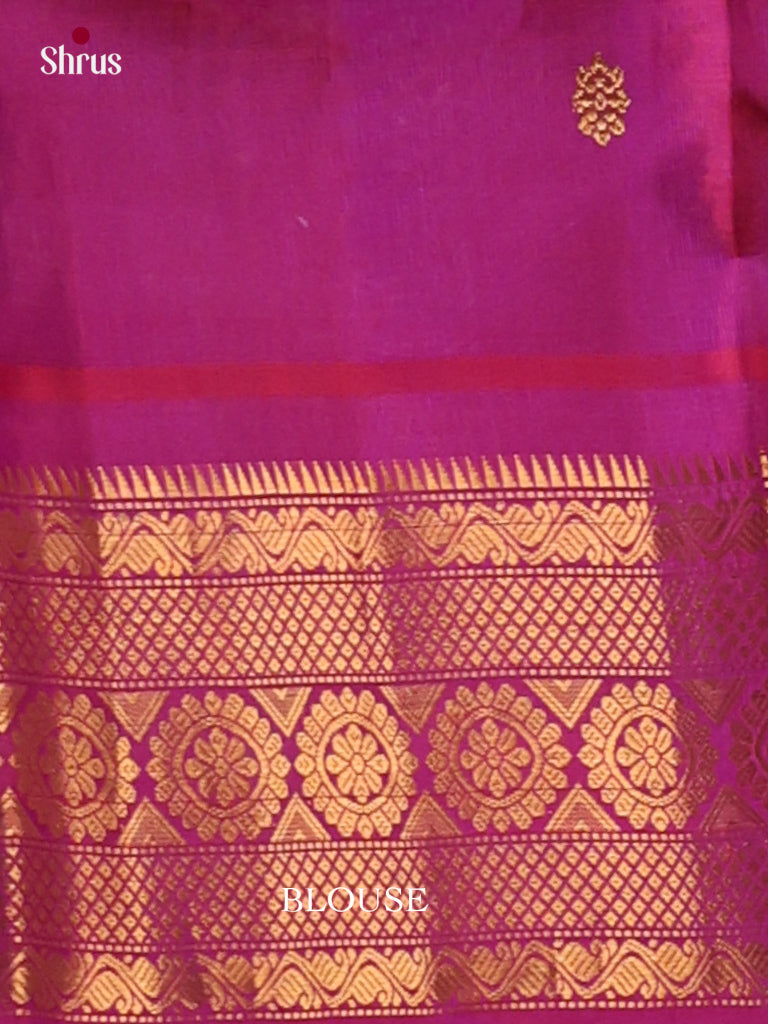 Gadwal silk Saree - EJ23279