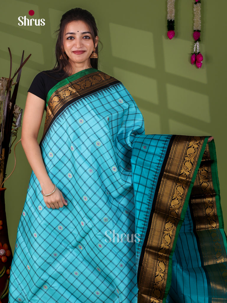 Gadwal silk Saree - EJ23284