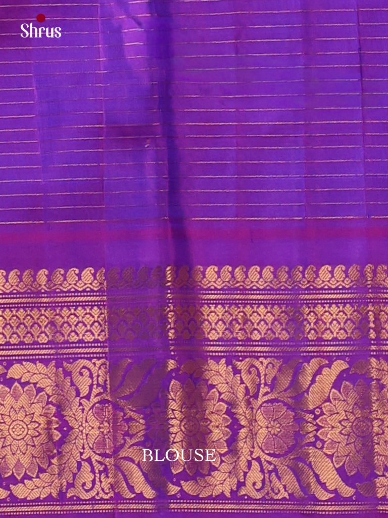Gadwal silk Saree - EJ23285