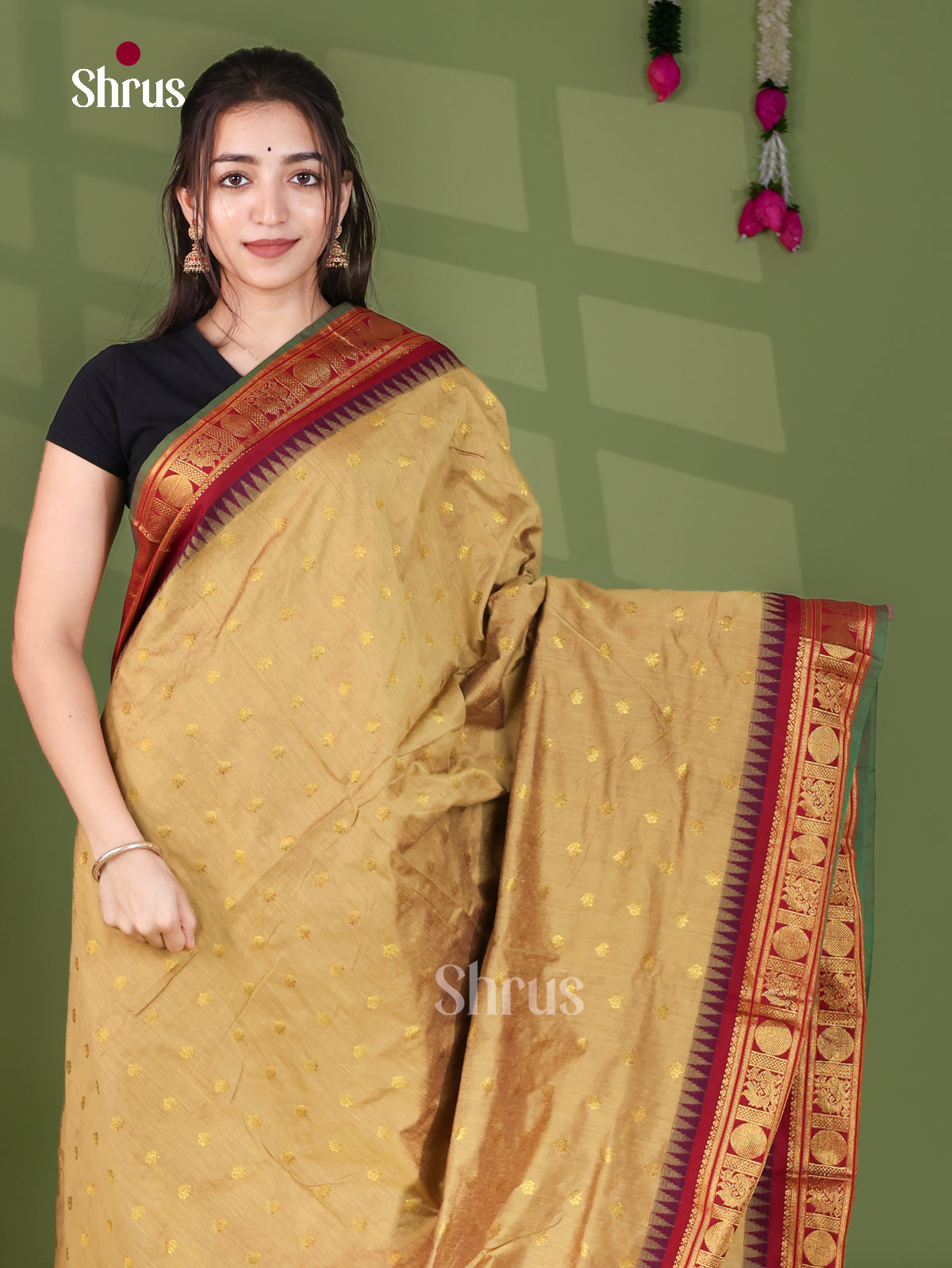 Kalyani Cotton Saree - EJ26479