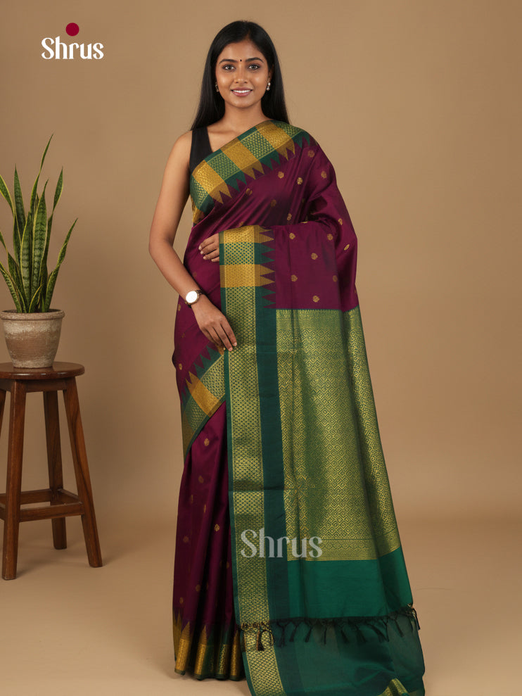 Kalyani Cotton Saree - EJ26480