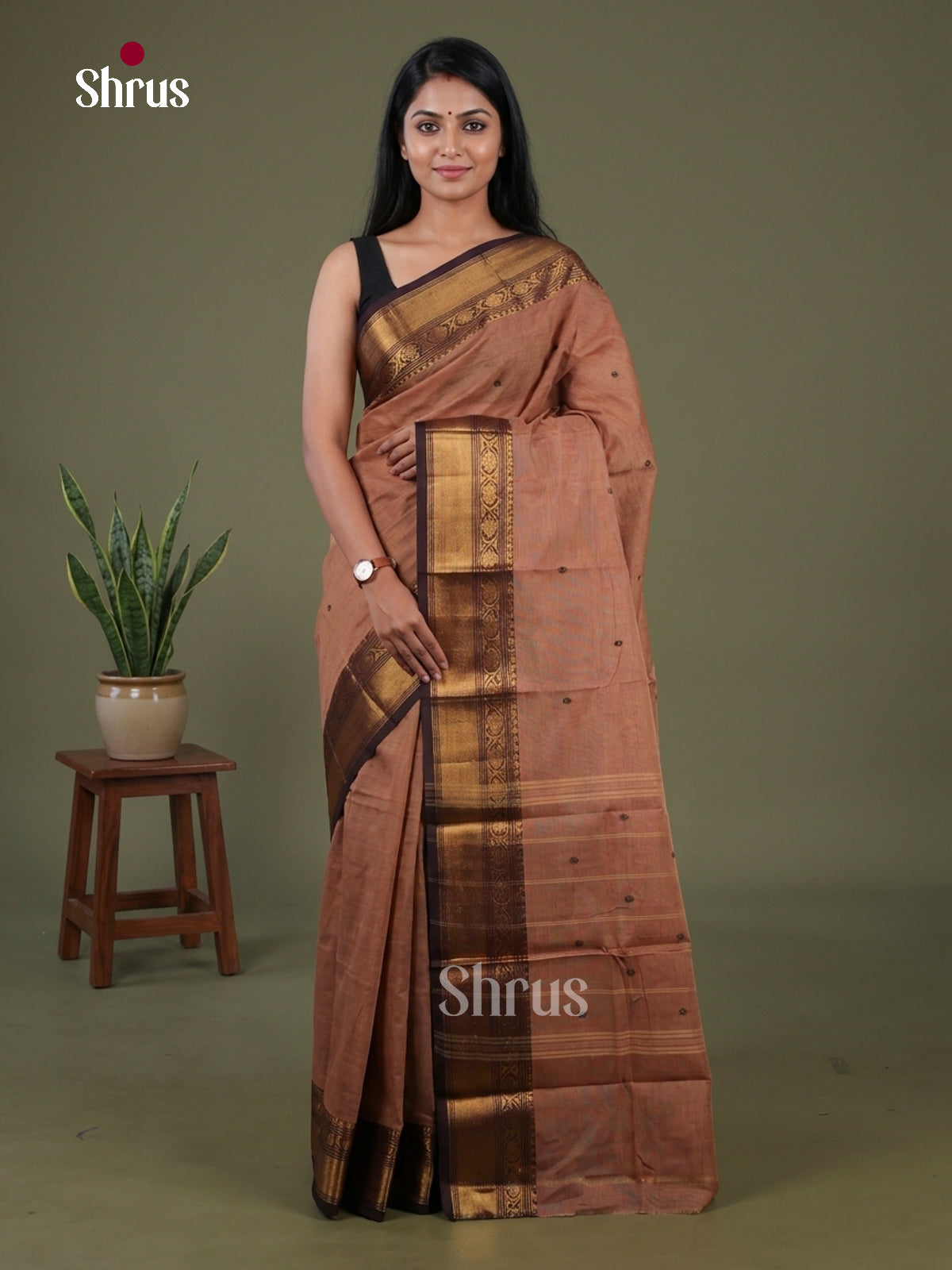 Chettinad Cotton Saree - EGS03425