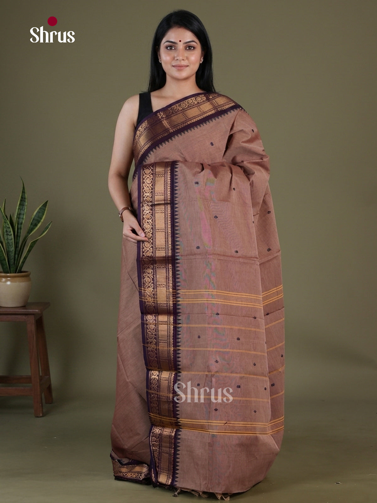 Chettinad Cotton Saree - EGS03406 - Shop on Shrus.com