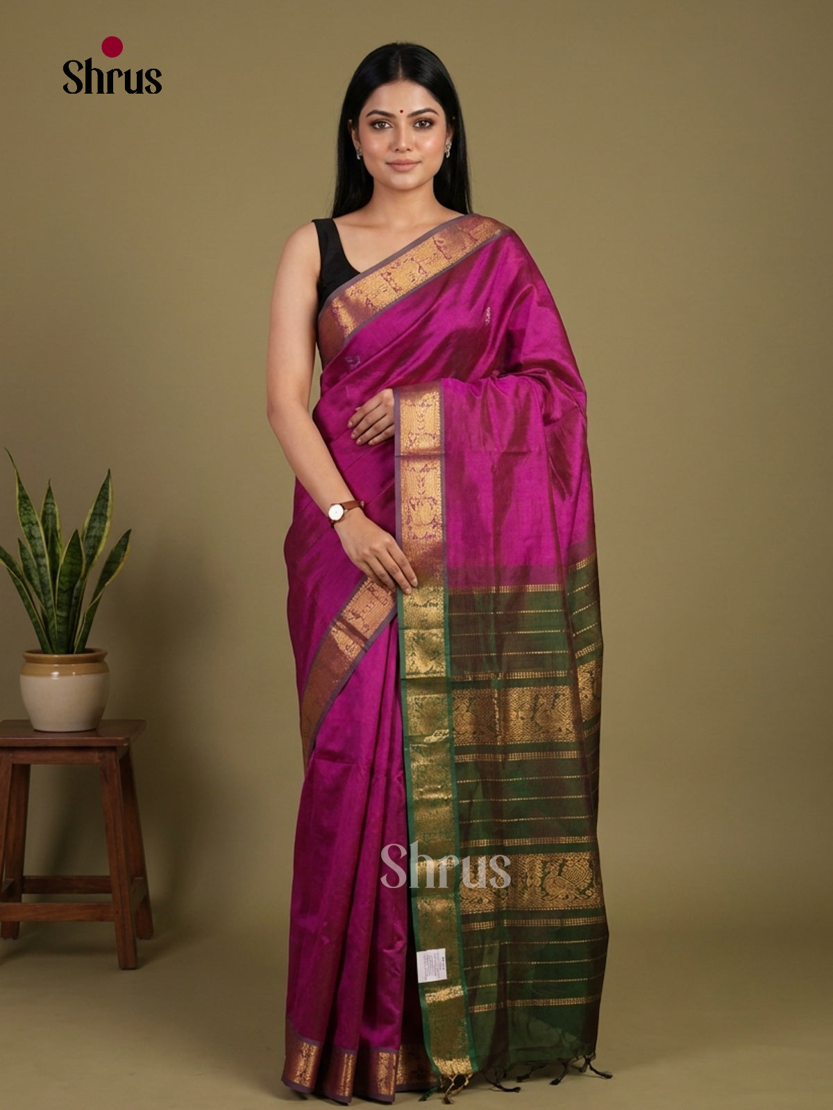 Graceful Purple Silk Cotton Saree With Plain Body & Green Zari Striped Border