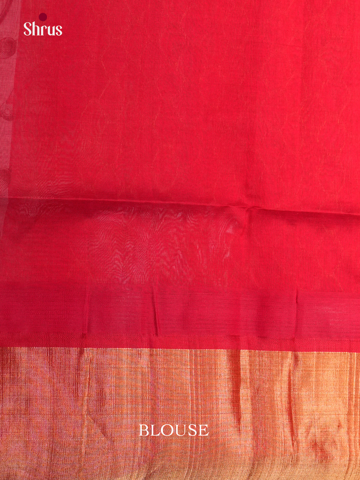 Breezy Ivory Pure Cotton Silk Saree Printed with Kalamkari Inspired Lotus vines & Sacred Cow
