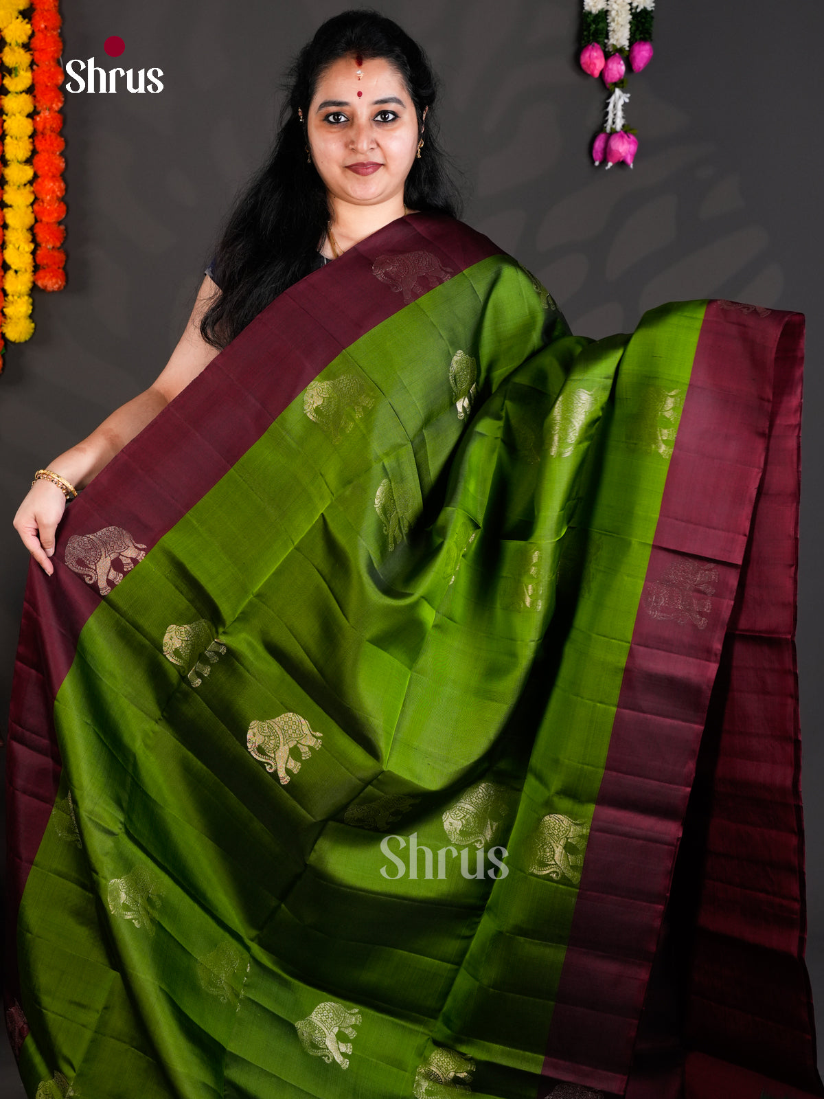 Buy Serene Light Green Pure Soft Silk Saree With Zari Elephant Motifs & Contrast Maroon Border
