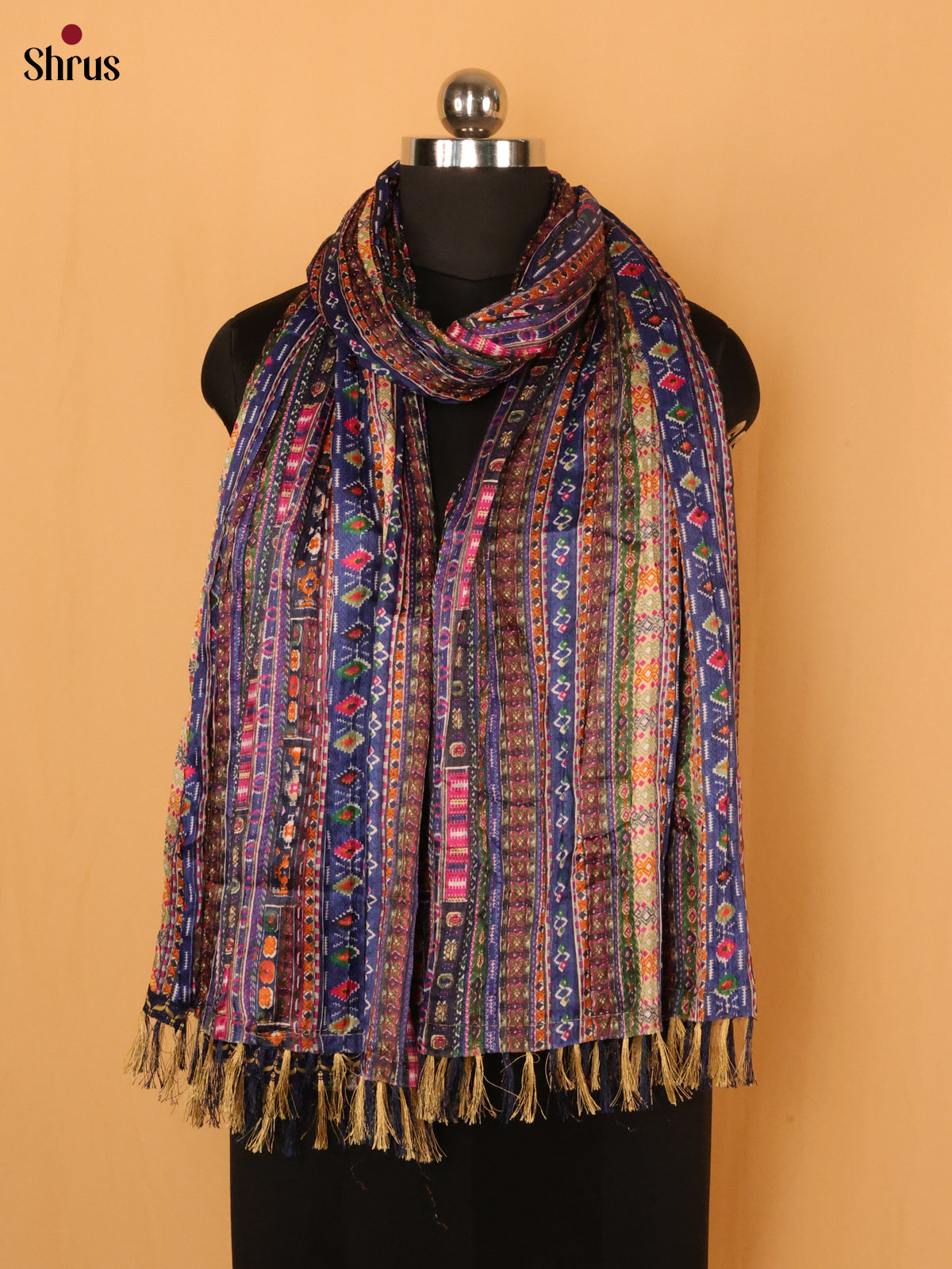 Multi color - Dupatta