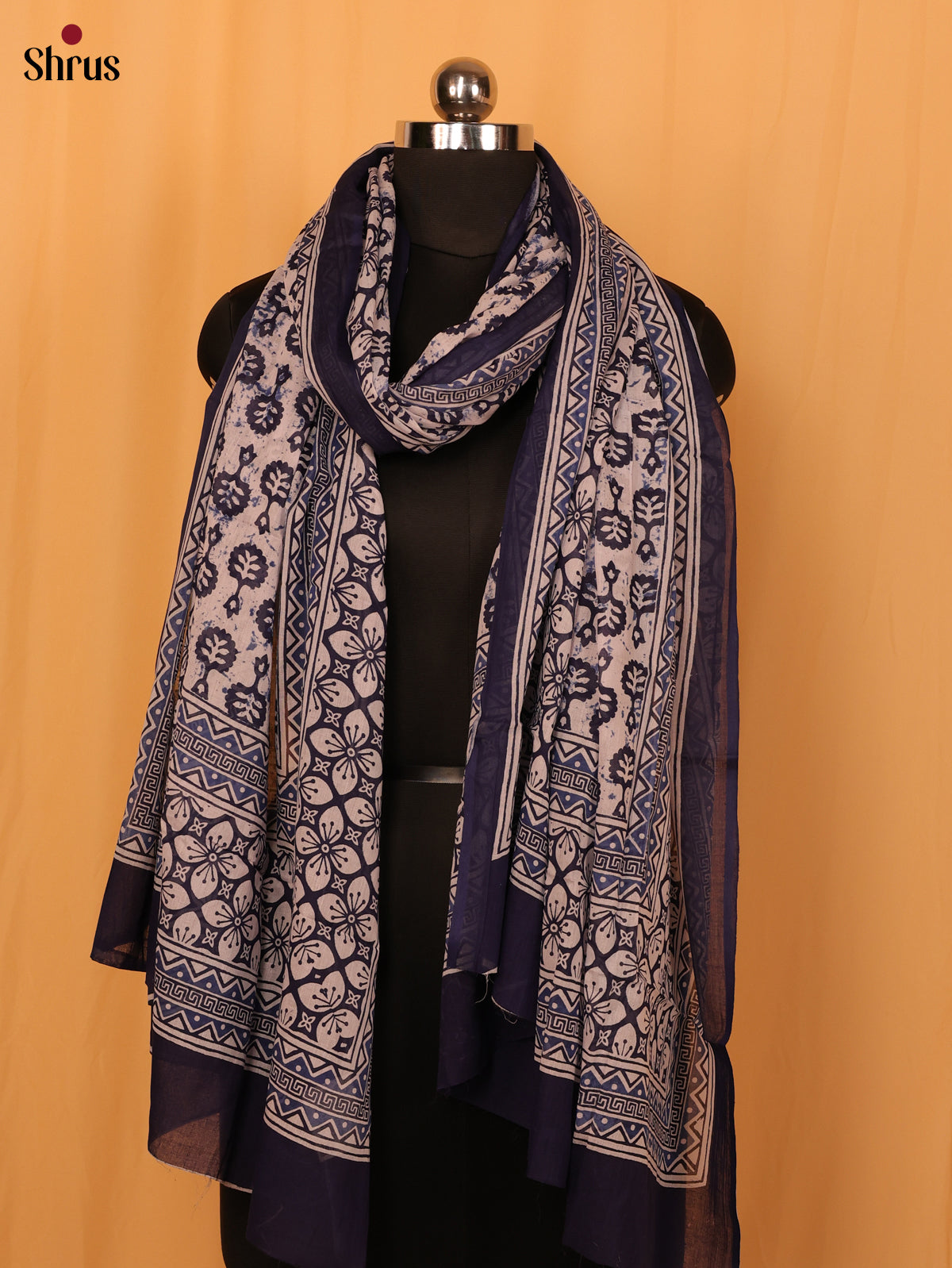 Beige & Blue - Dupatta