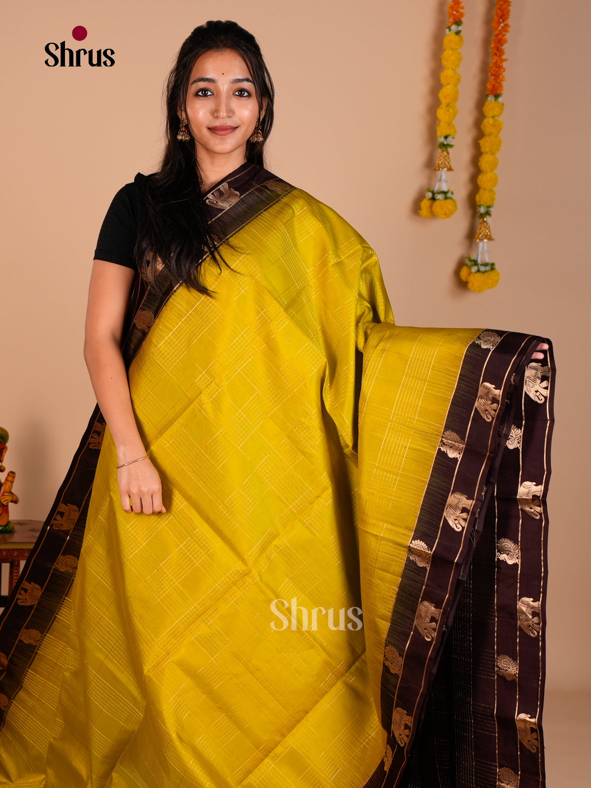 Buy Chic Mustard Green Pure Soft Silk Saree with Gold Checks, Brown Border With Zari Motifs & Brocade Pallu