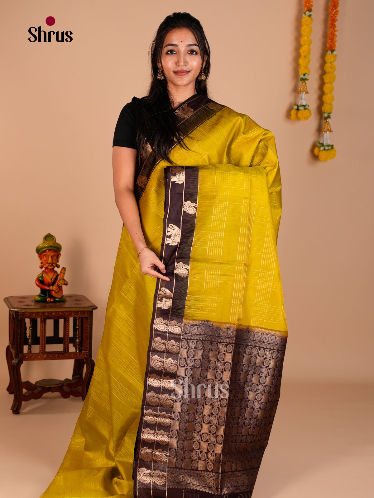 Buy Chic Mustard Green Soft Silk Saree with Gold Checks, Brown Border With Zari Motifs & Brocade Pallu