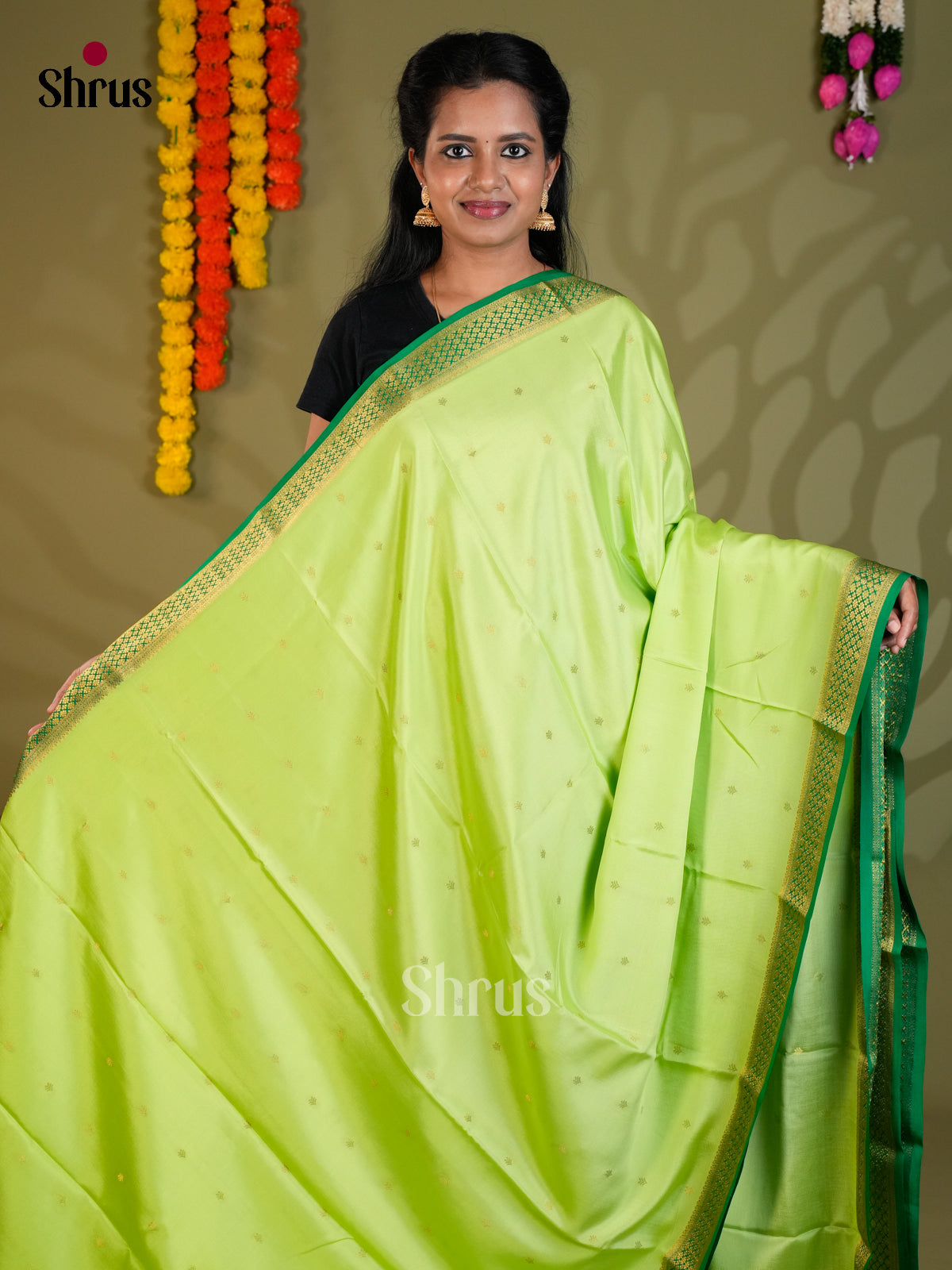 Buy Exquisite Pista Green Mysore Silk Sarees with Golden Buttas, Small Zari Border & Green Pallu