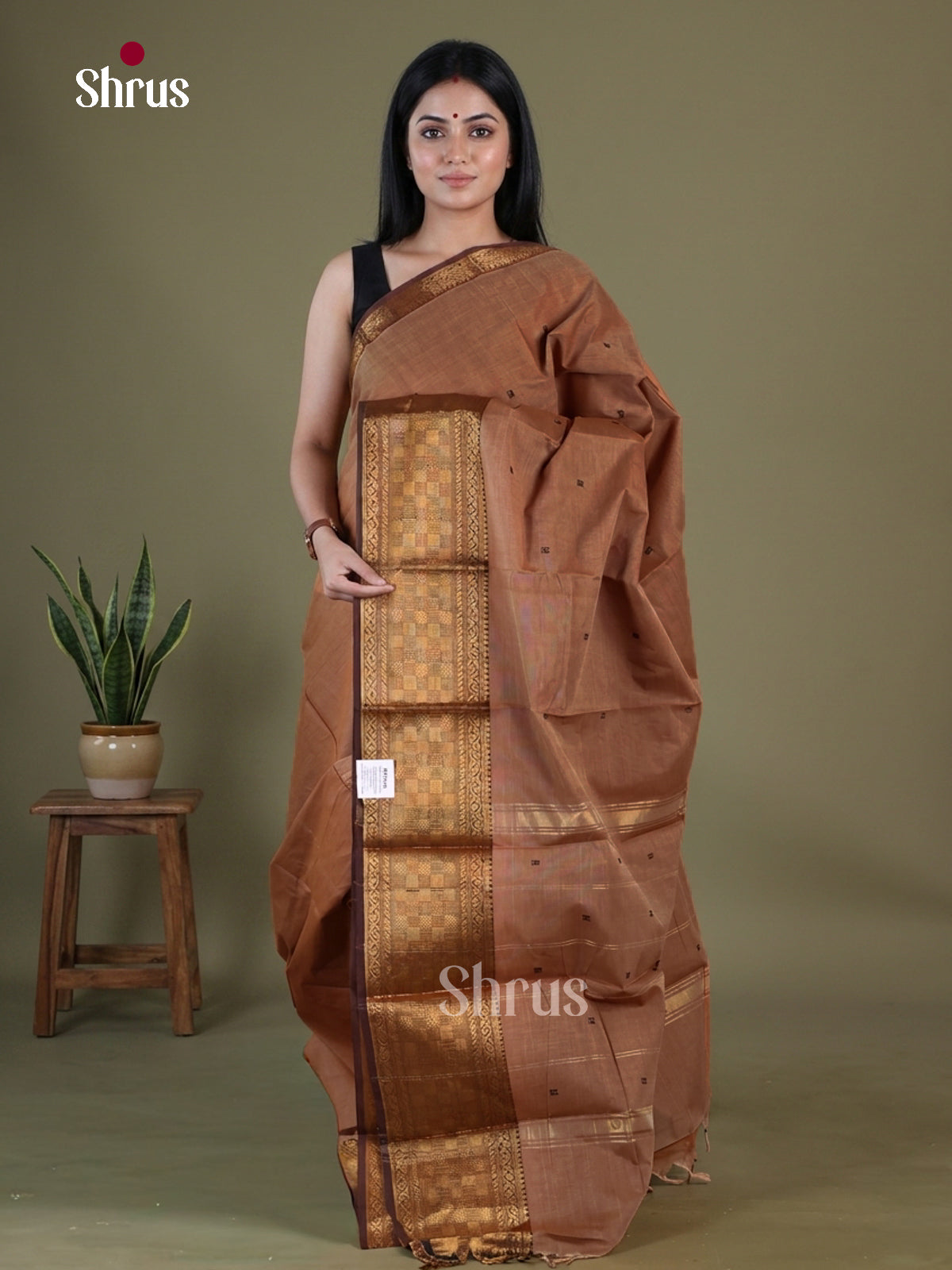 Pretty Light Brown Chettinad Saree With Thread Buttas & Dark Brown Border With Checks Patterns