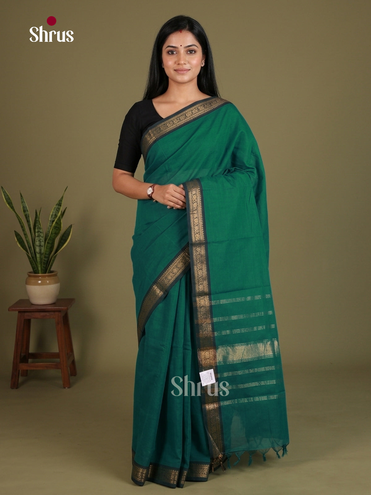 Green Chettinad Cotton Saree With Plain Body, Small Zari Border & Traditional Pallu - Shop on Shrus.com
