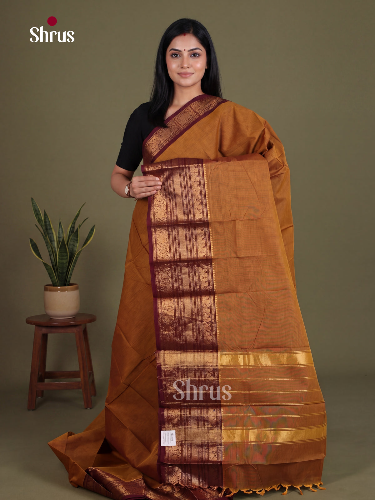 Ravishing Mustard Chettinad Cotton Saree With Plain Body & Maroon Big Zari Border
