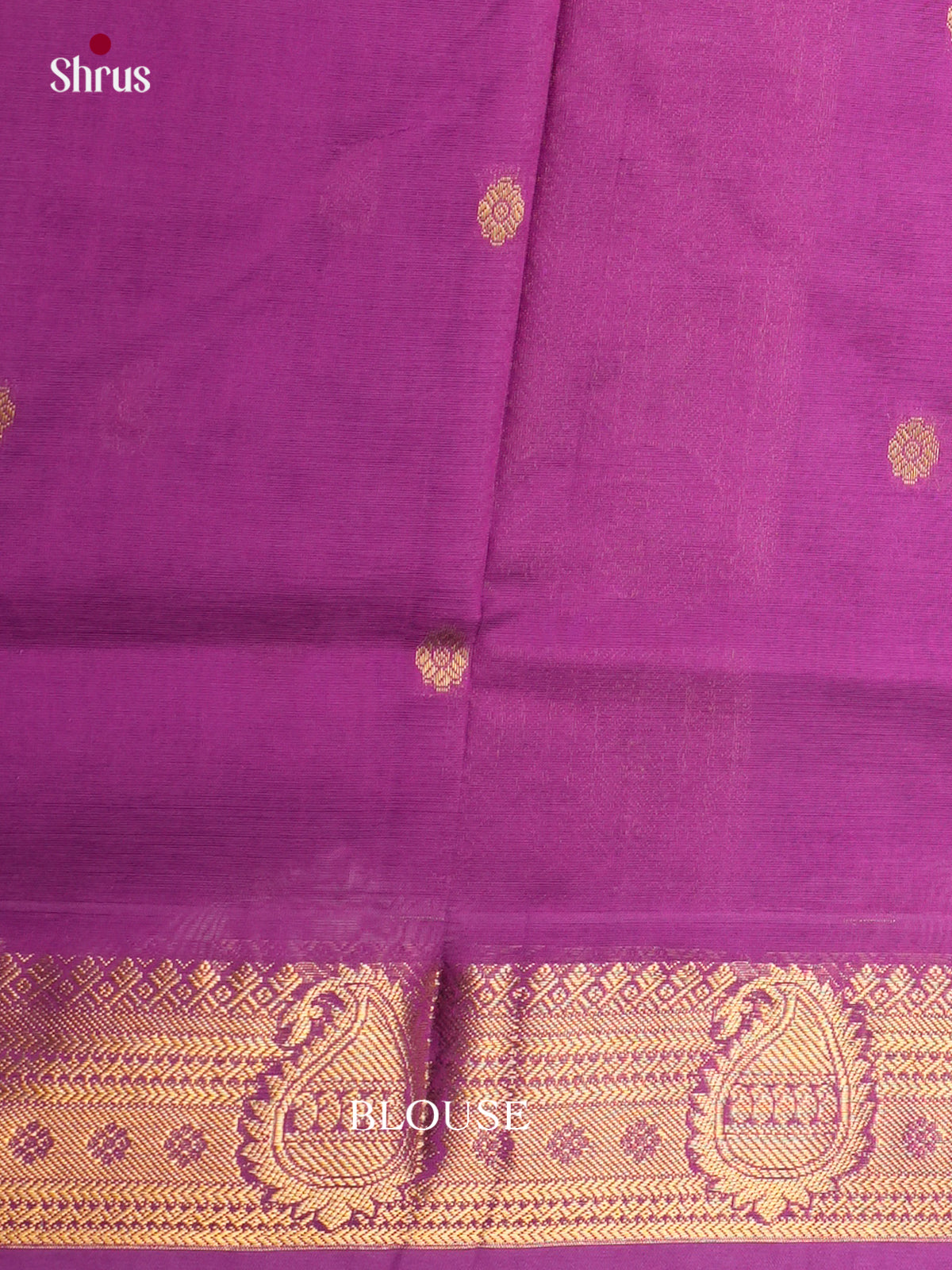 Buy Stylish Sea Green Cotton Silk Saree With Golden Buttas, Paisley Zari Border & Purple Chit Pallu