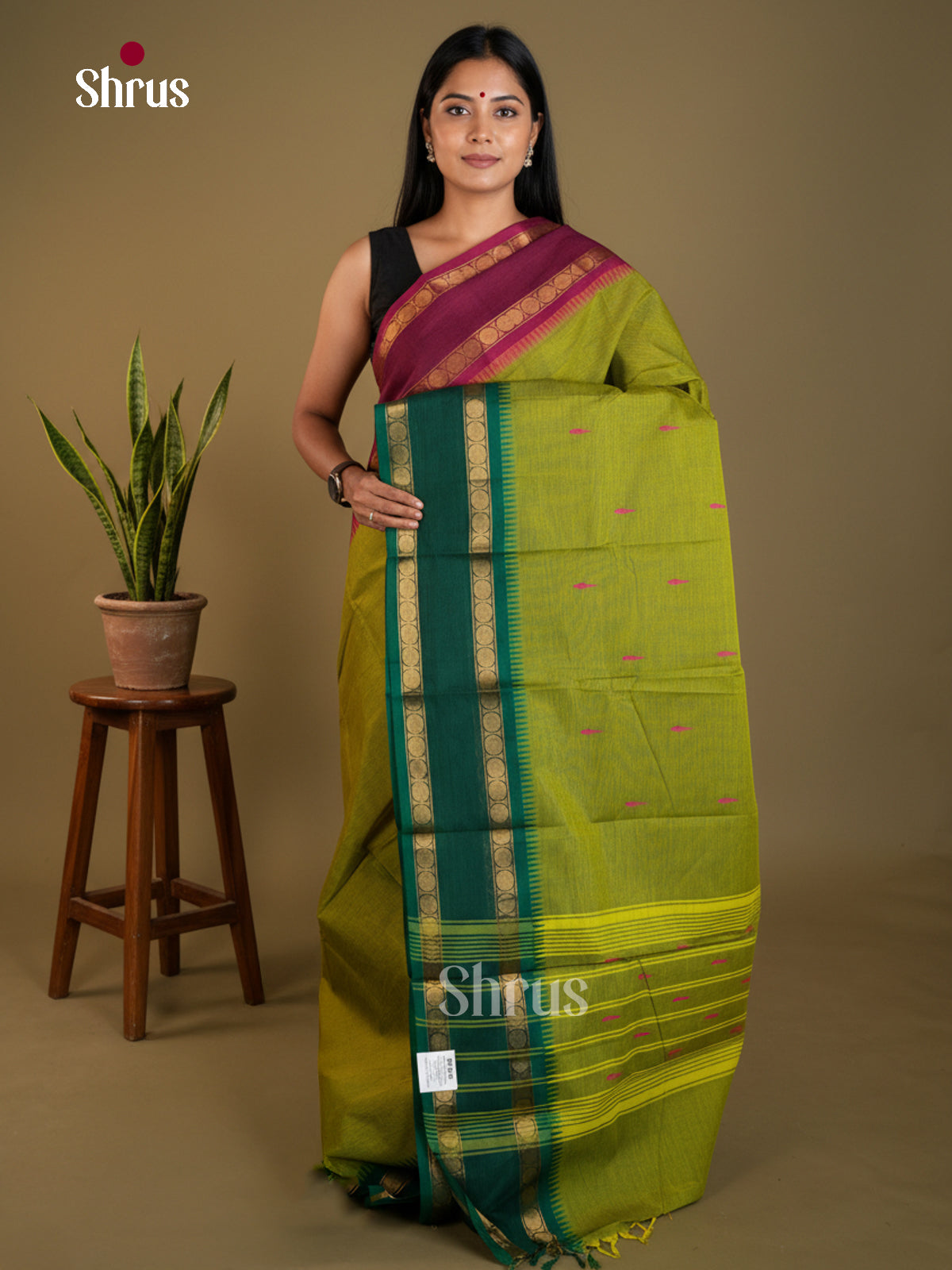 Serene Parrot Green Chettinad Cotton Saree With Thread Buttas & Rettaipet Zari Border