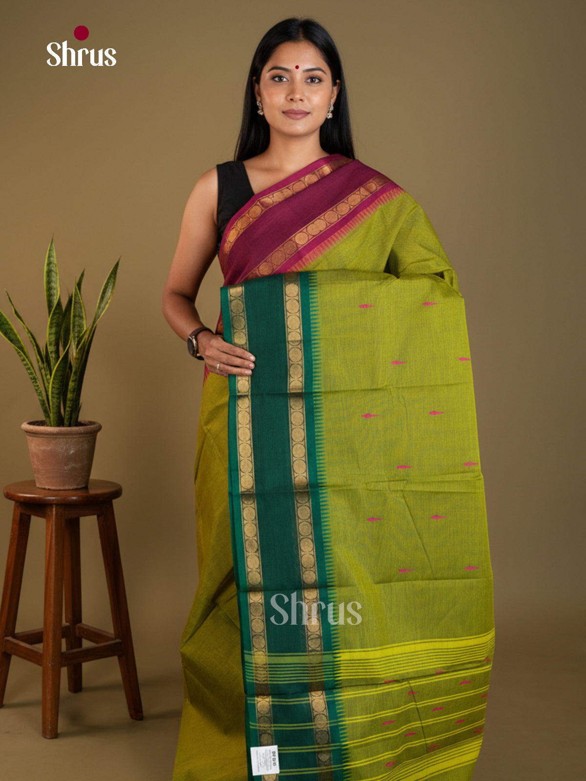 Serene Parrot Green Chettinad Cotton Sarees With Thread Buttas & Rettaipet Zari Border