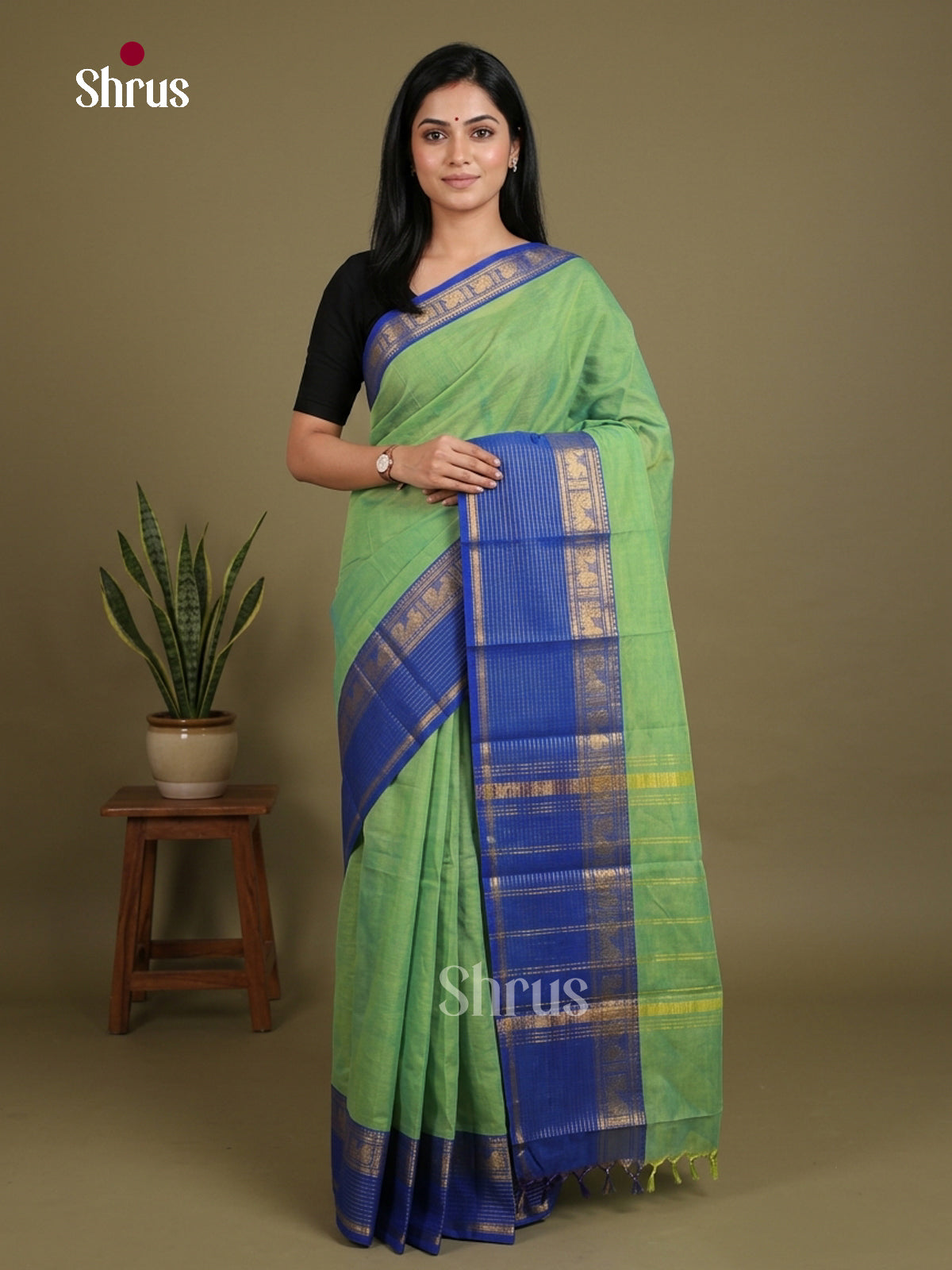 Serene Pista Green Chettinad Cotton Saree With Plain Body & Blue Zari Striped Border