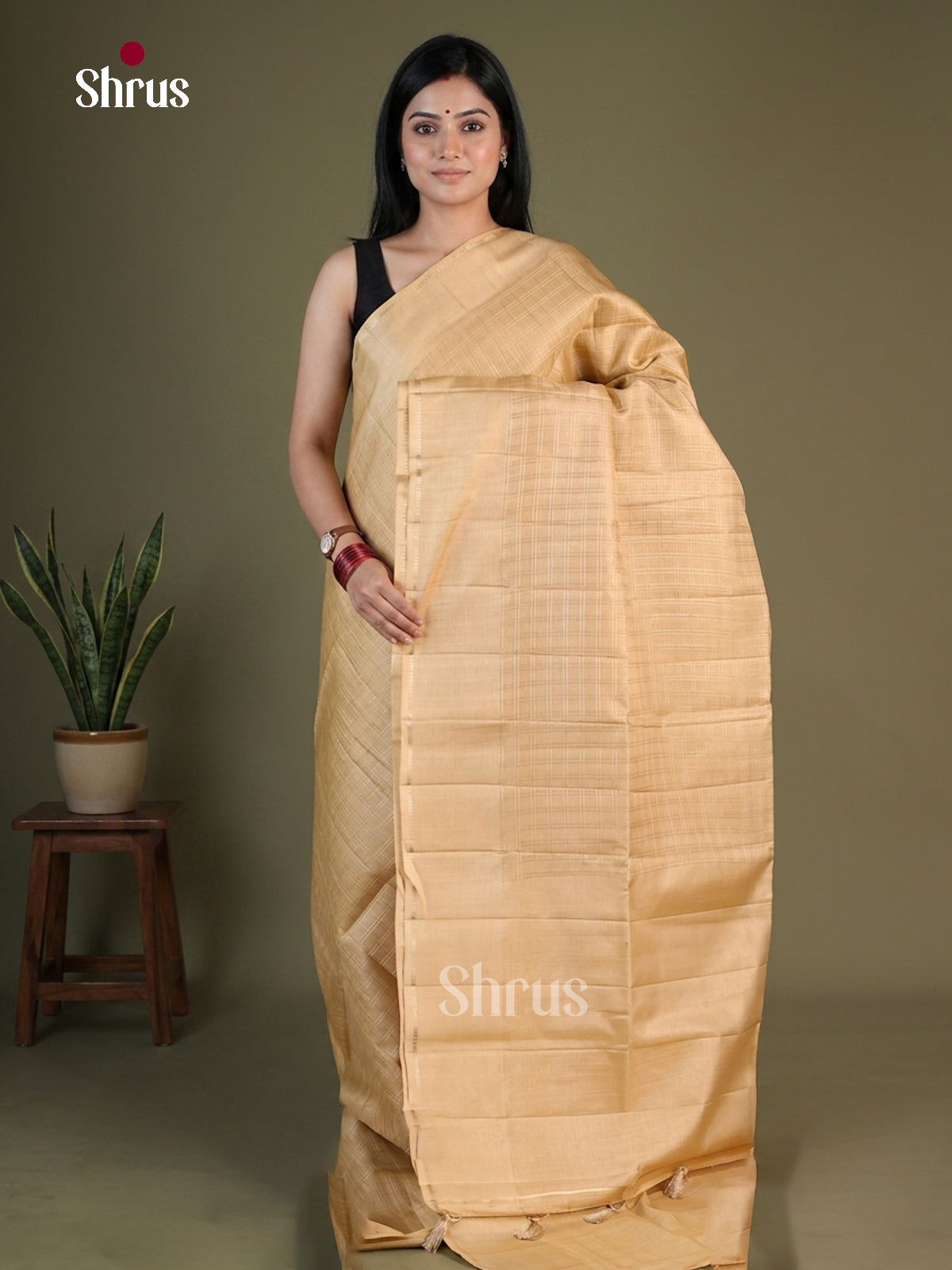 Shimmery Golden Semi Raw Silk Saree With Zari Checks, Plain Border & Pallu With Tassels