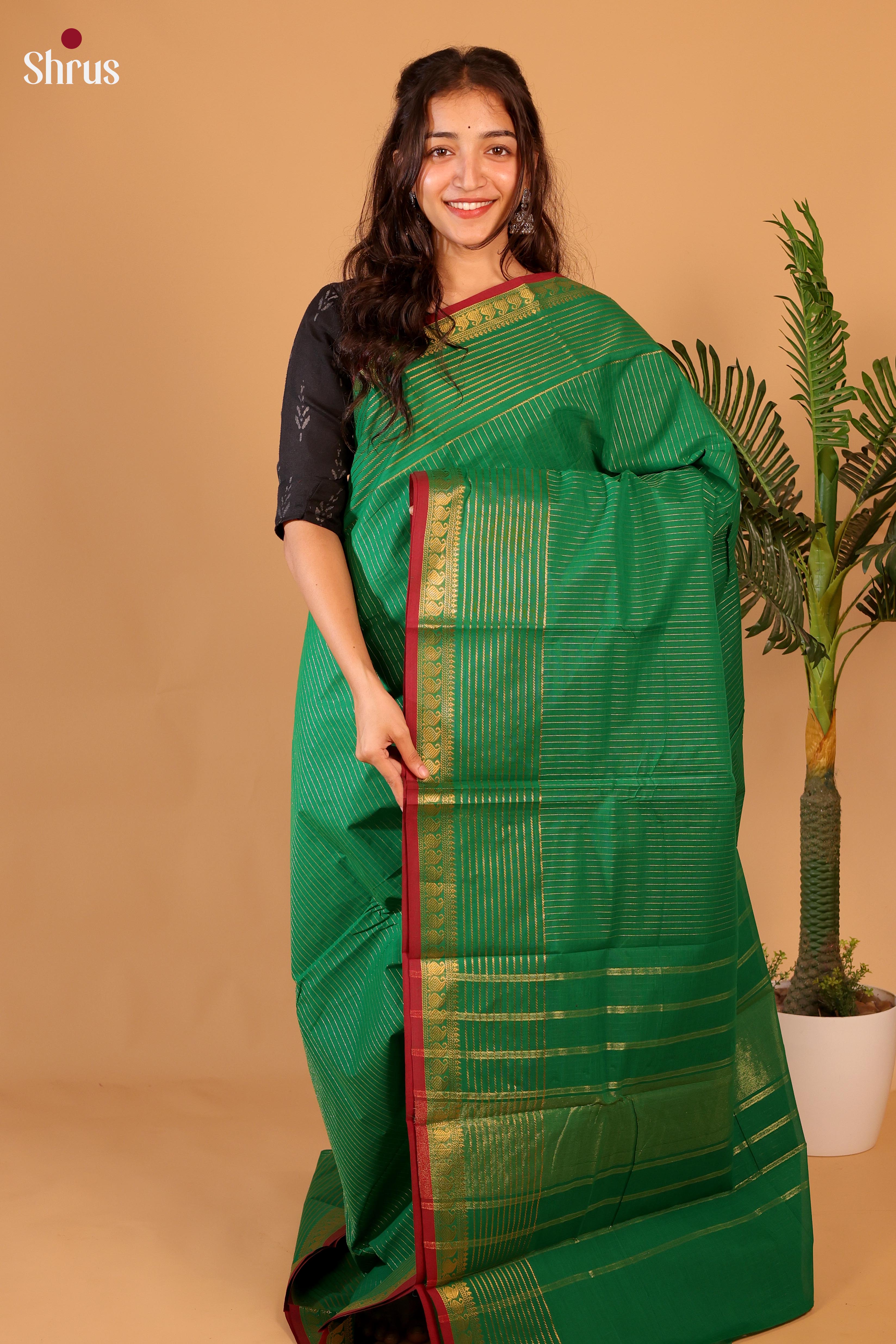 Shimmery Green Chettinad Cotton Saree With Golden Lines & Traditional Pallu