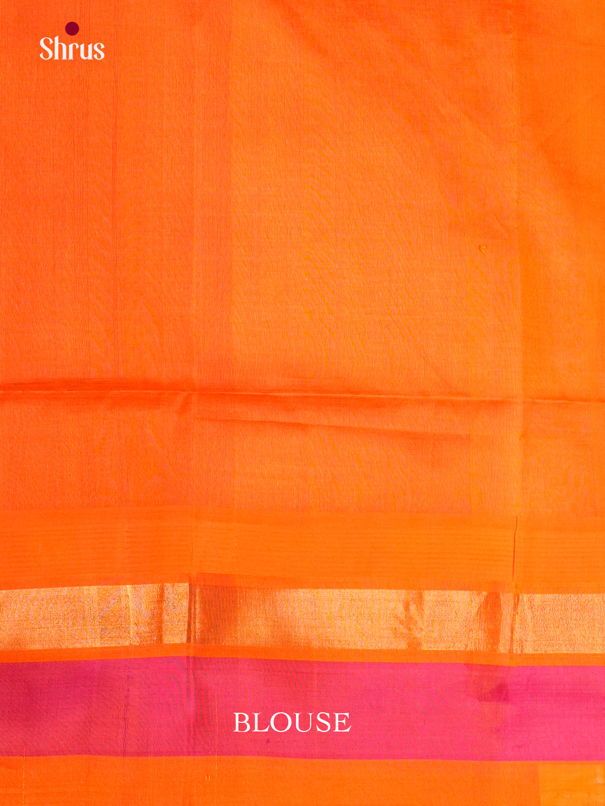 Buy Chic Sky Blue Pure Silk Cotton Saree with Kalamkari Prints & Orange Brocade Pallu