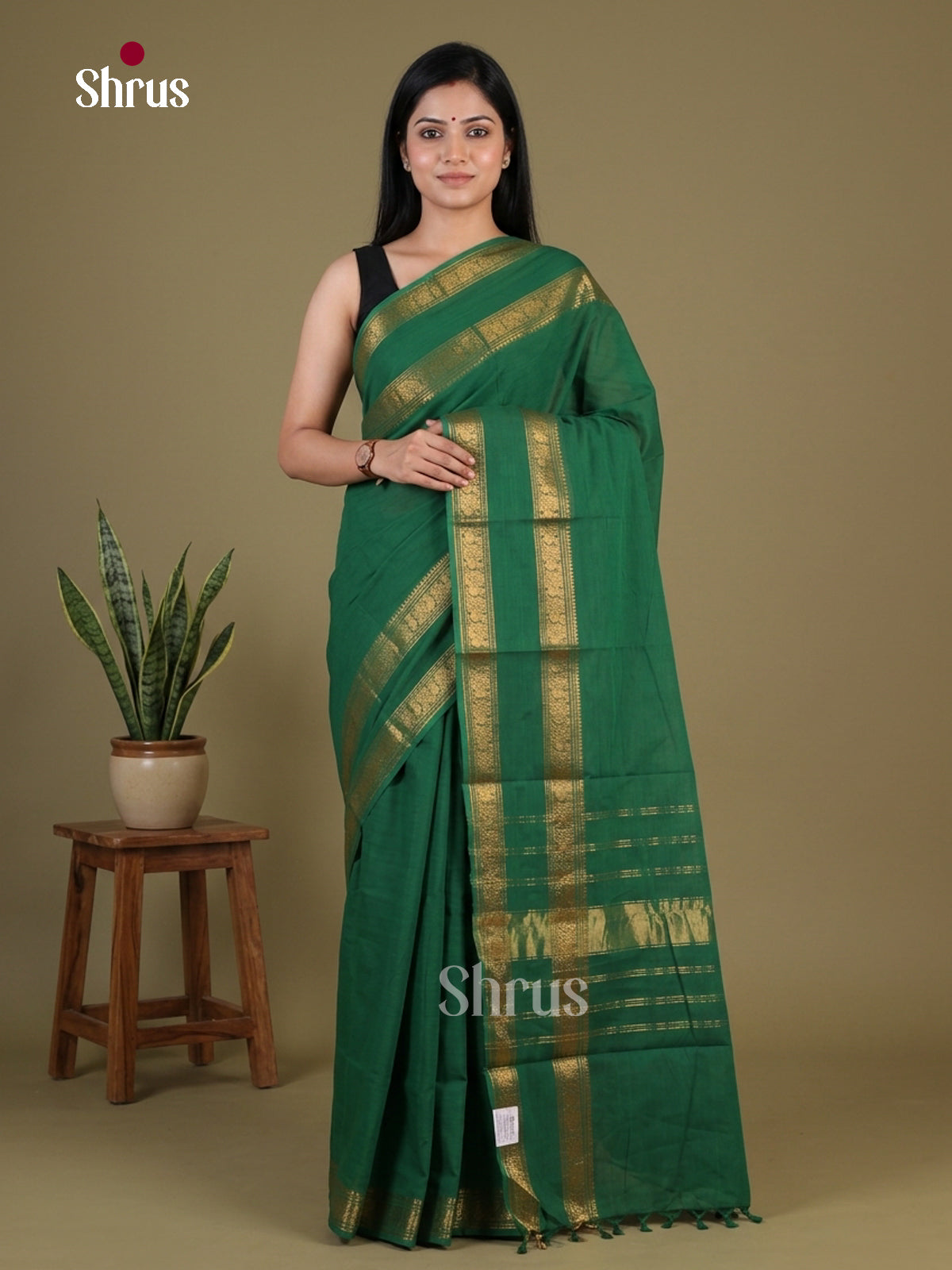 Striking Green Chettinad Cotton Saree With Rettaipet Zari Border & Traditional Pallu