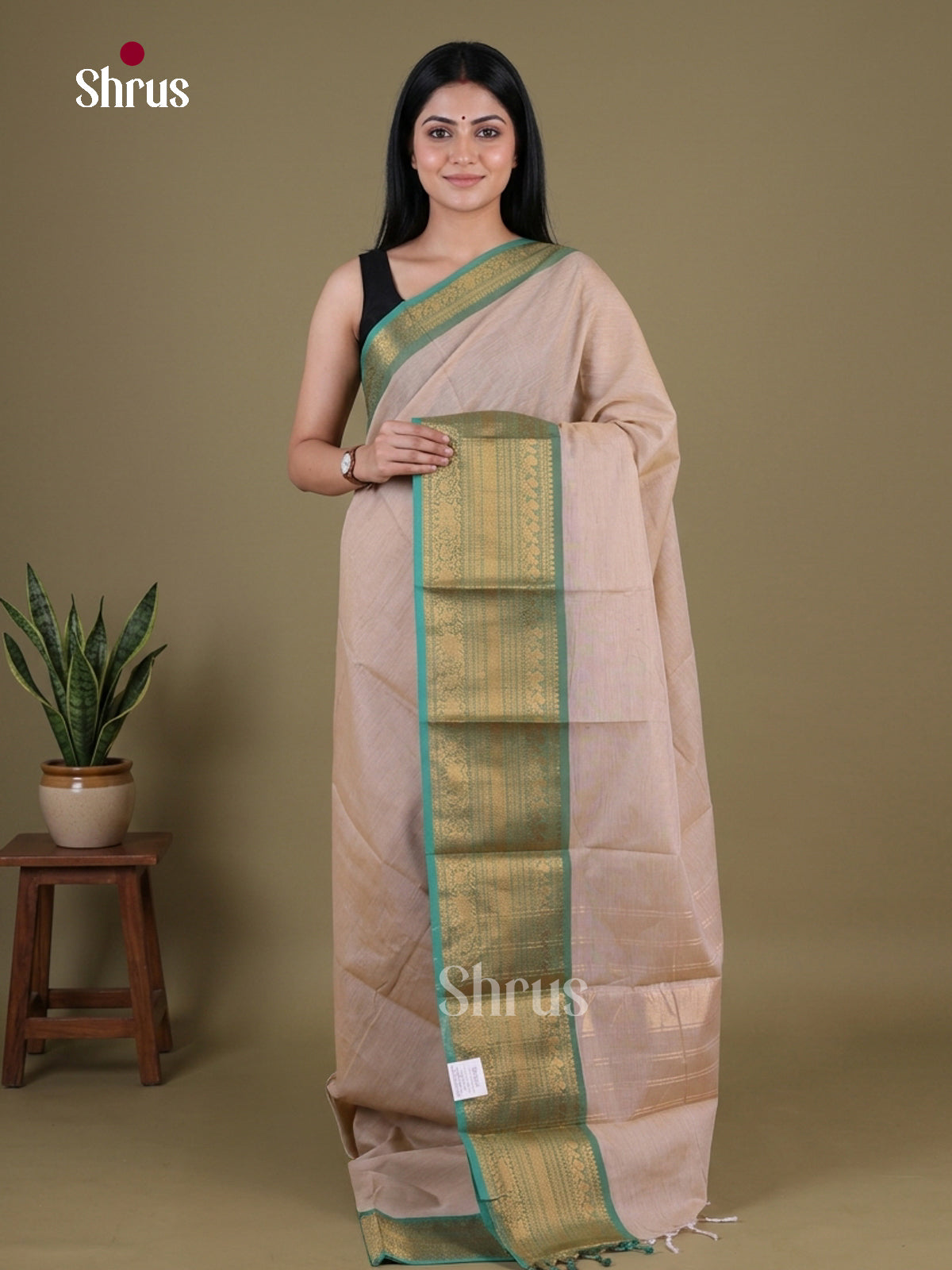 Stunning Beige Chettinad Cotton Saree With Plain Body & Turquoise Zari Woven Border