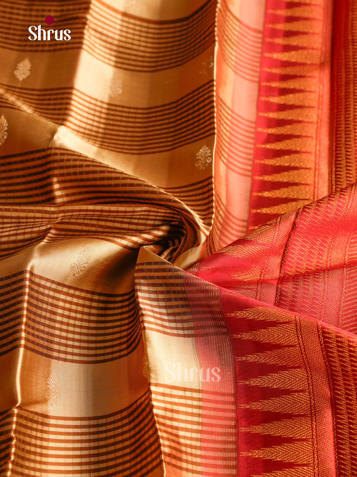 Unique Beige Kanchi Silk Saree With Brown Checked Blocks & Buttas | Red Temple Zari Border