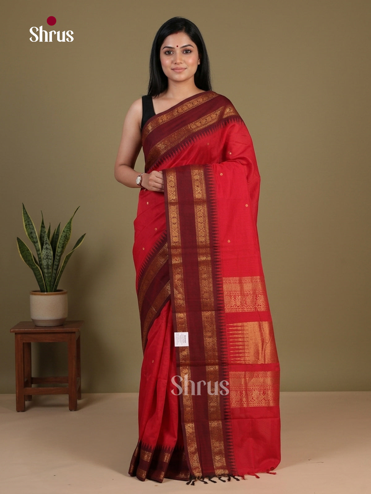 Chettinad Cotton Saree - EFS17045 - Shop on Shrus.com