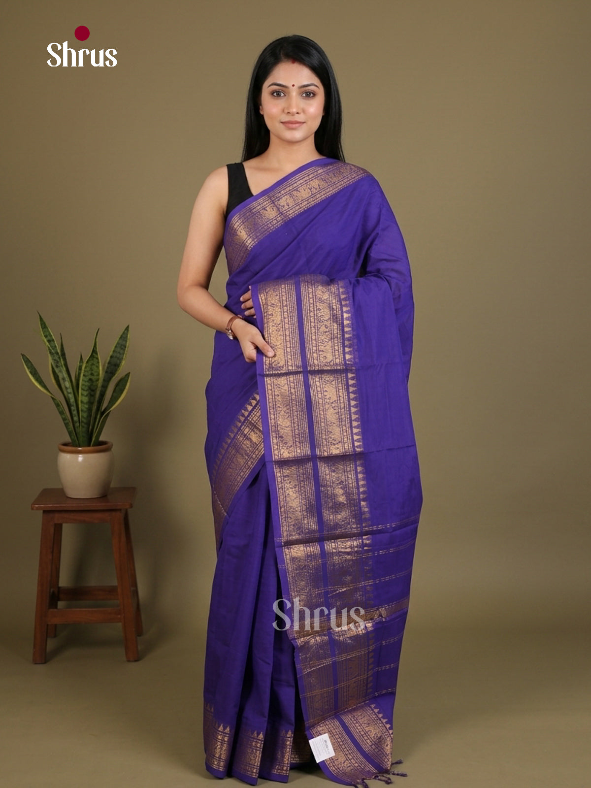 Vivid Blue Chettinad Cotton Saree With Blue Broad Temple Zari Border & Striped Pallu