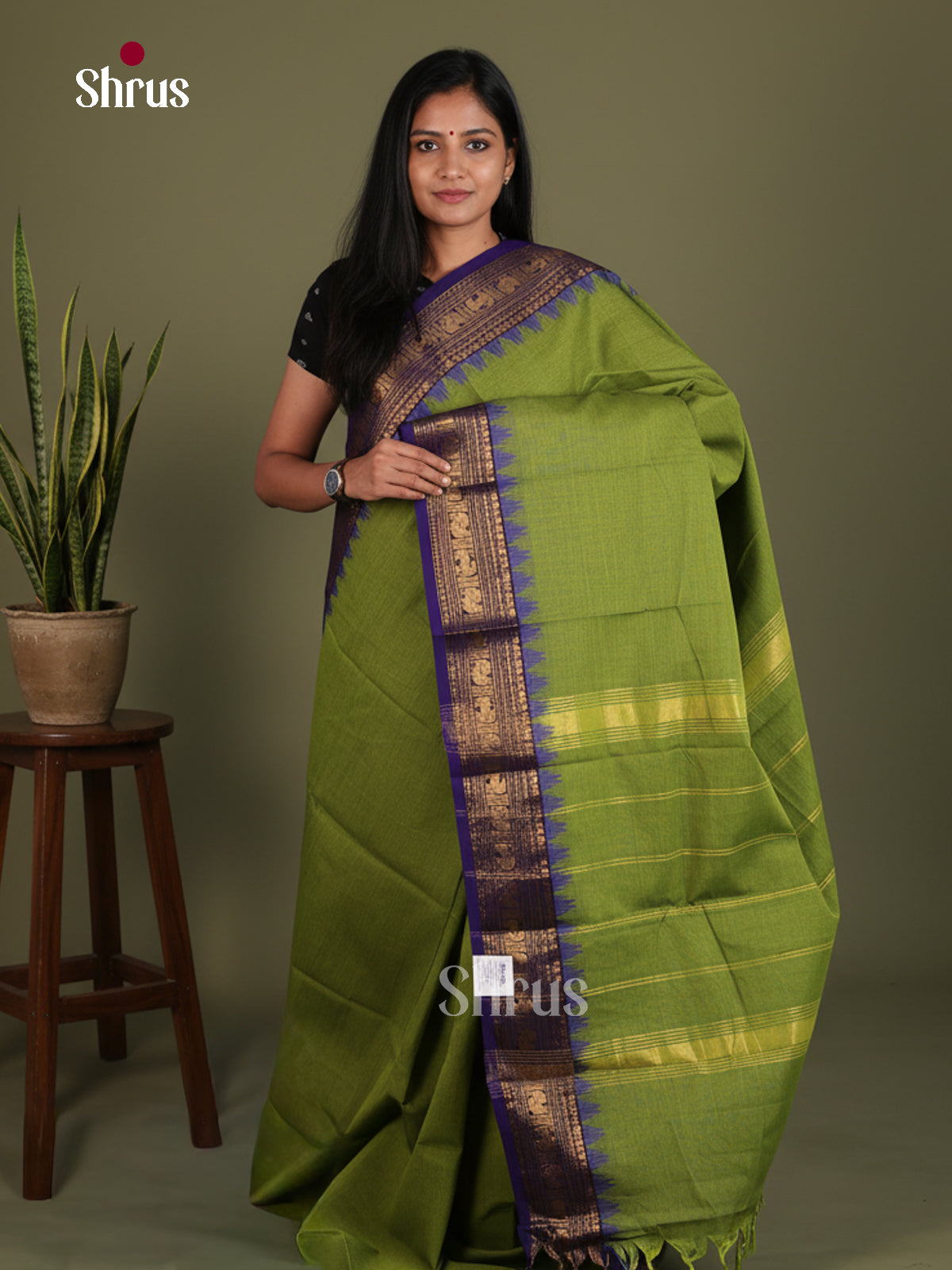 Vivid Parrot Green Chettinad Cotton Saree With Blue Temple Zari Border & Traditional Pallu