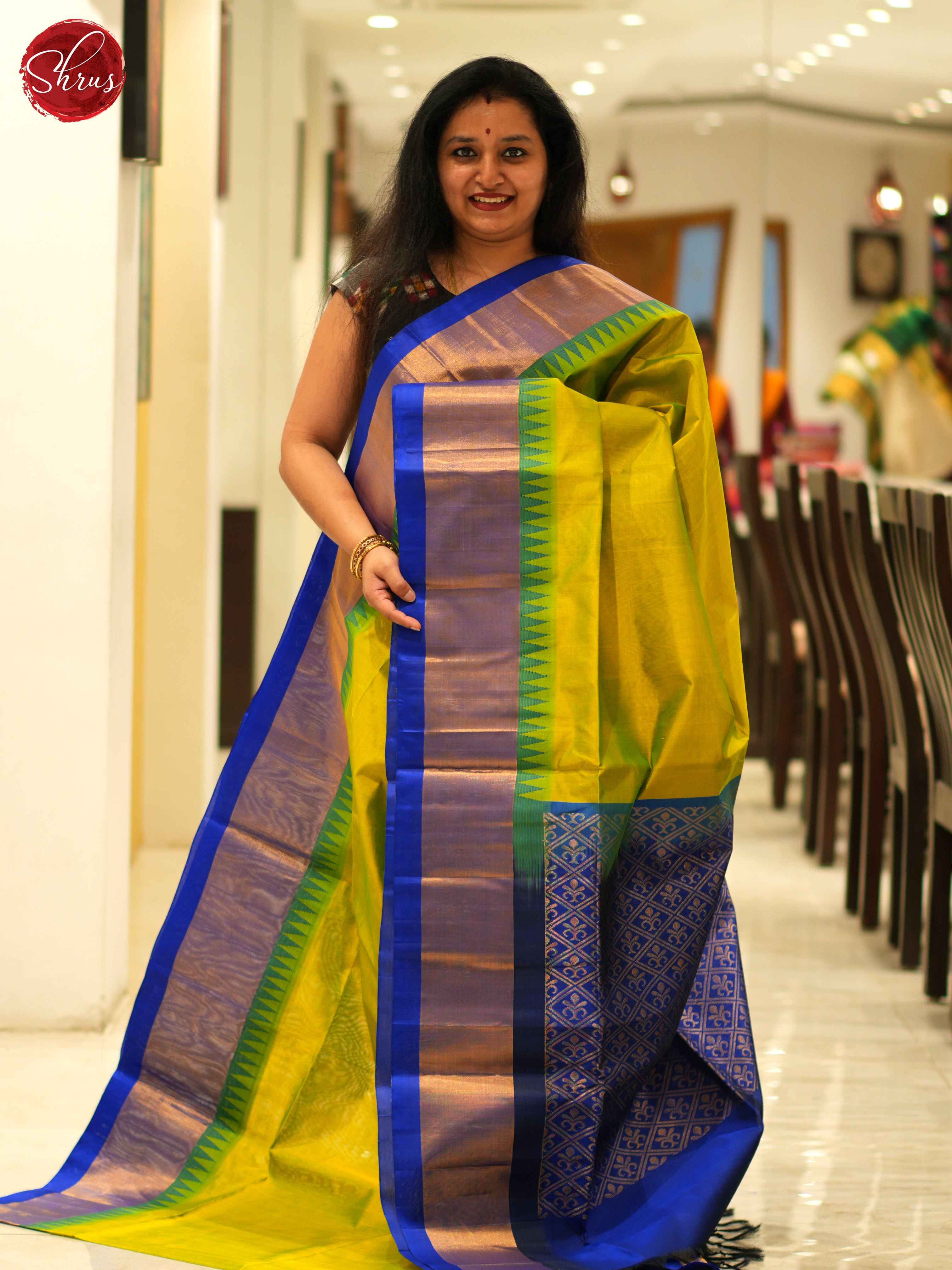 Green And Blue - Silk Cotton saree - Shop on ShrusEternity.com