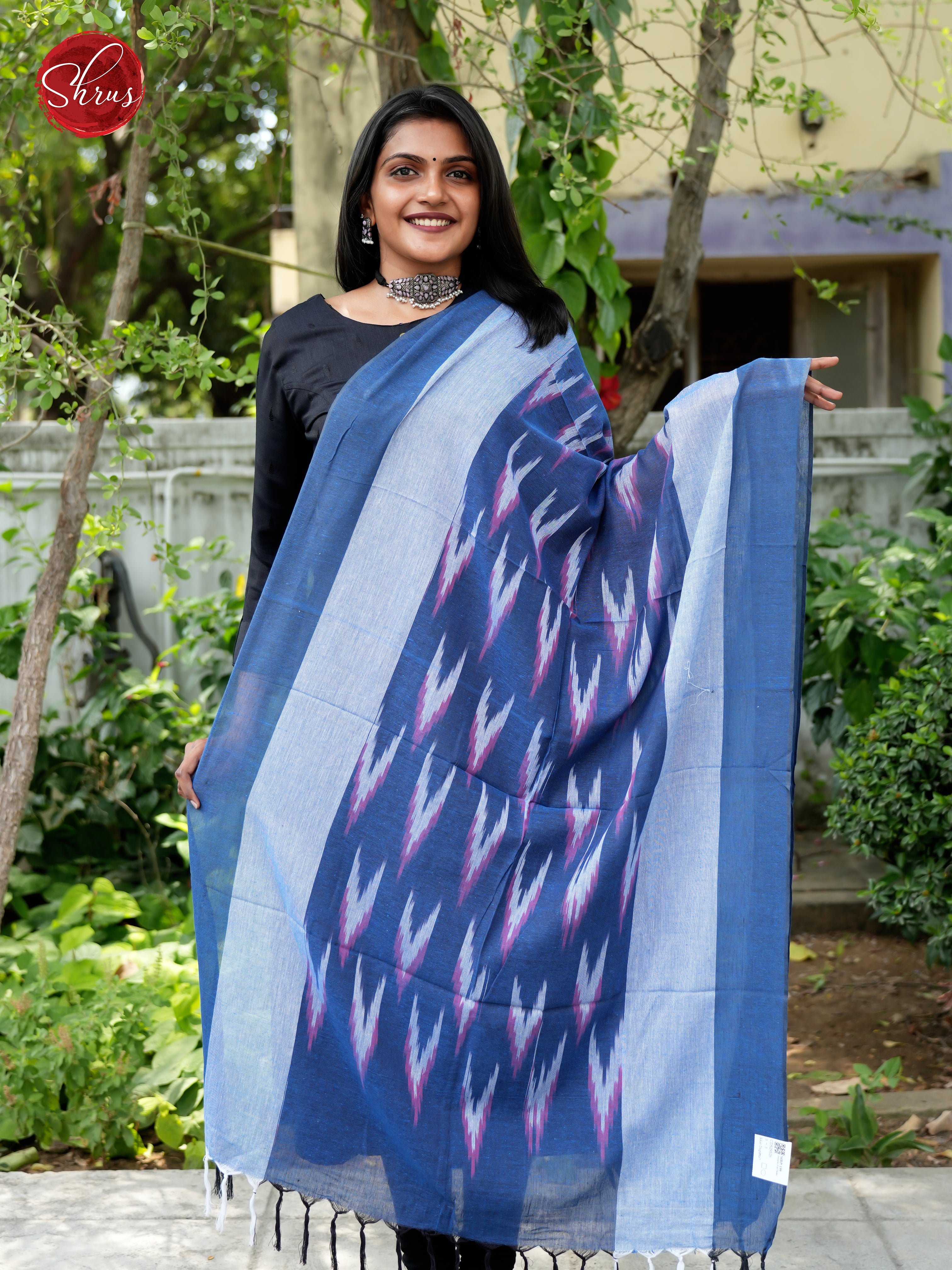 Blue - Ikkat Dupatta - Shop on ShrusEternity.com