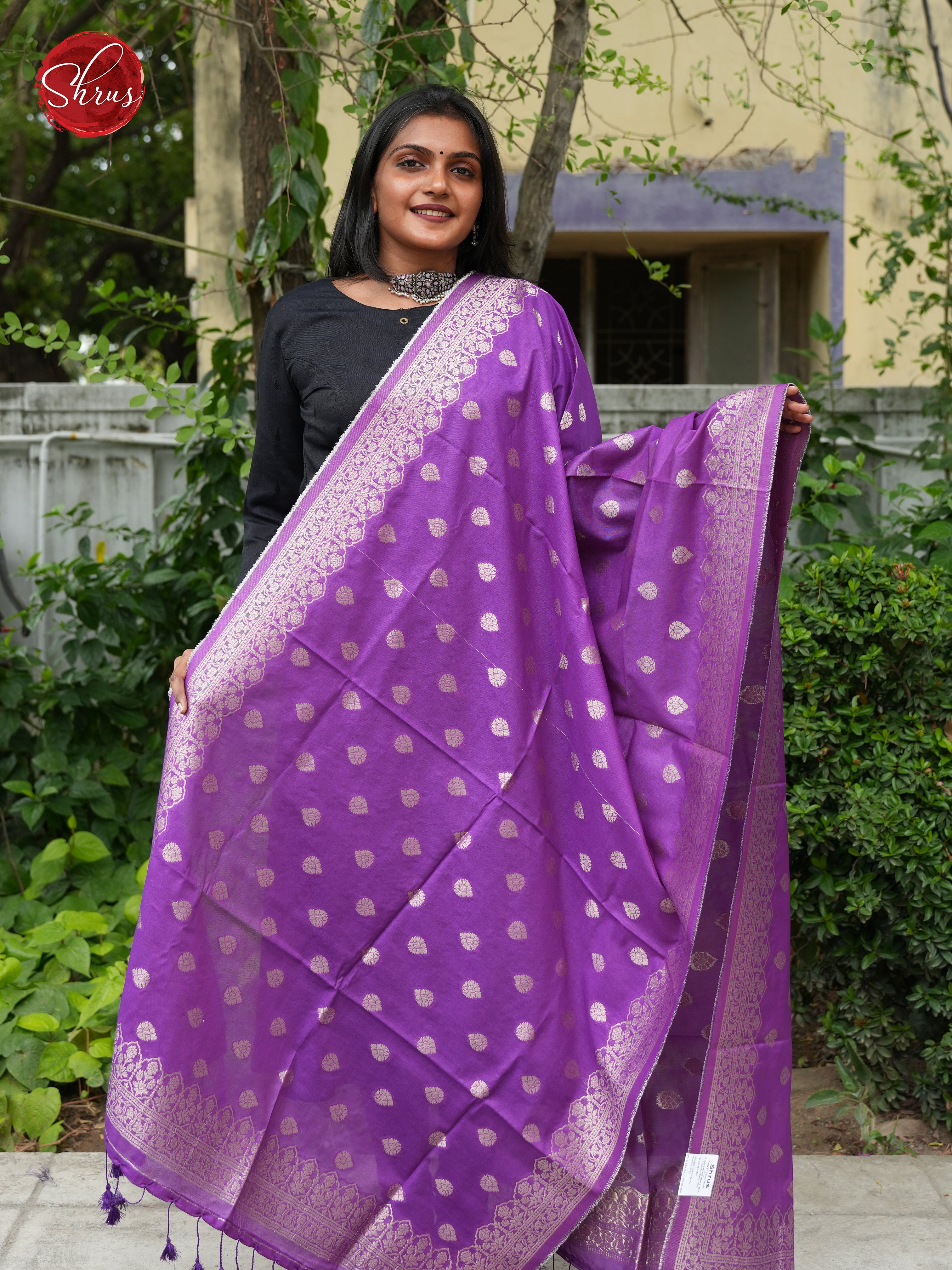 Purple - Semi Banarasi Dupatta - Shop on ShrusEternity.com