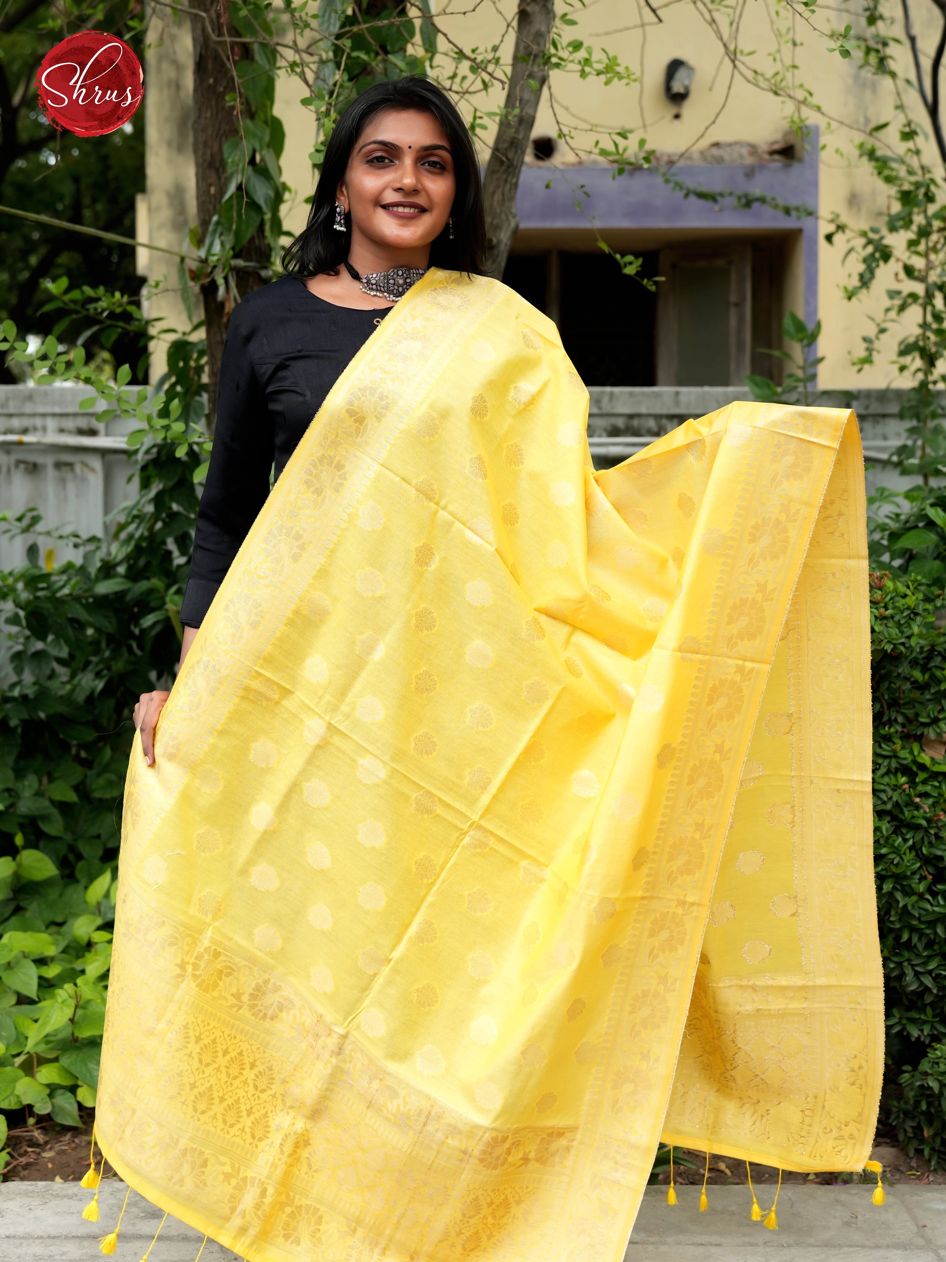 Yellow - Semi Banarasi Dupatta - Shop on ShrusEternity.com