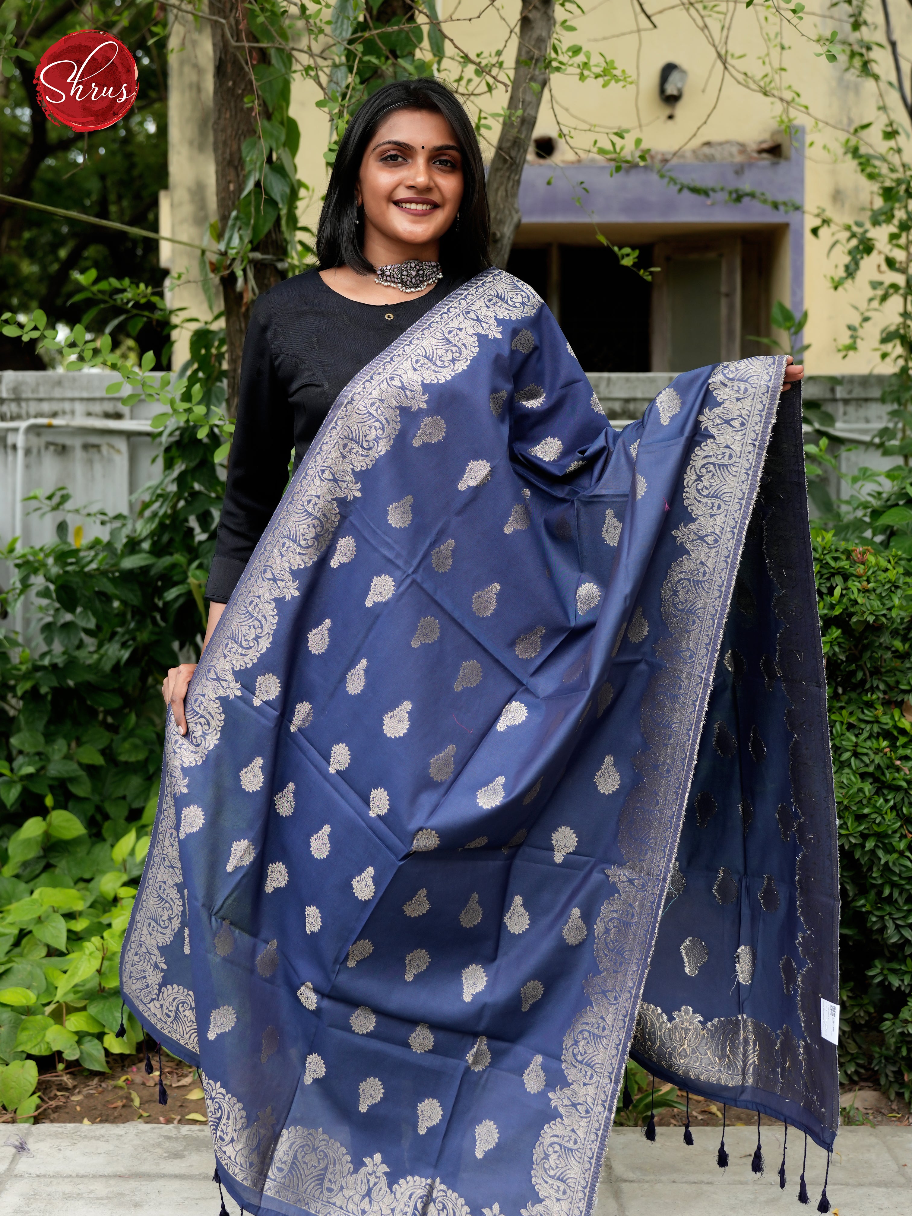 Blue - Semi Banarasi Dupatta - Shop on ShrusEternity.com