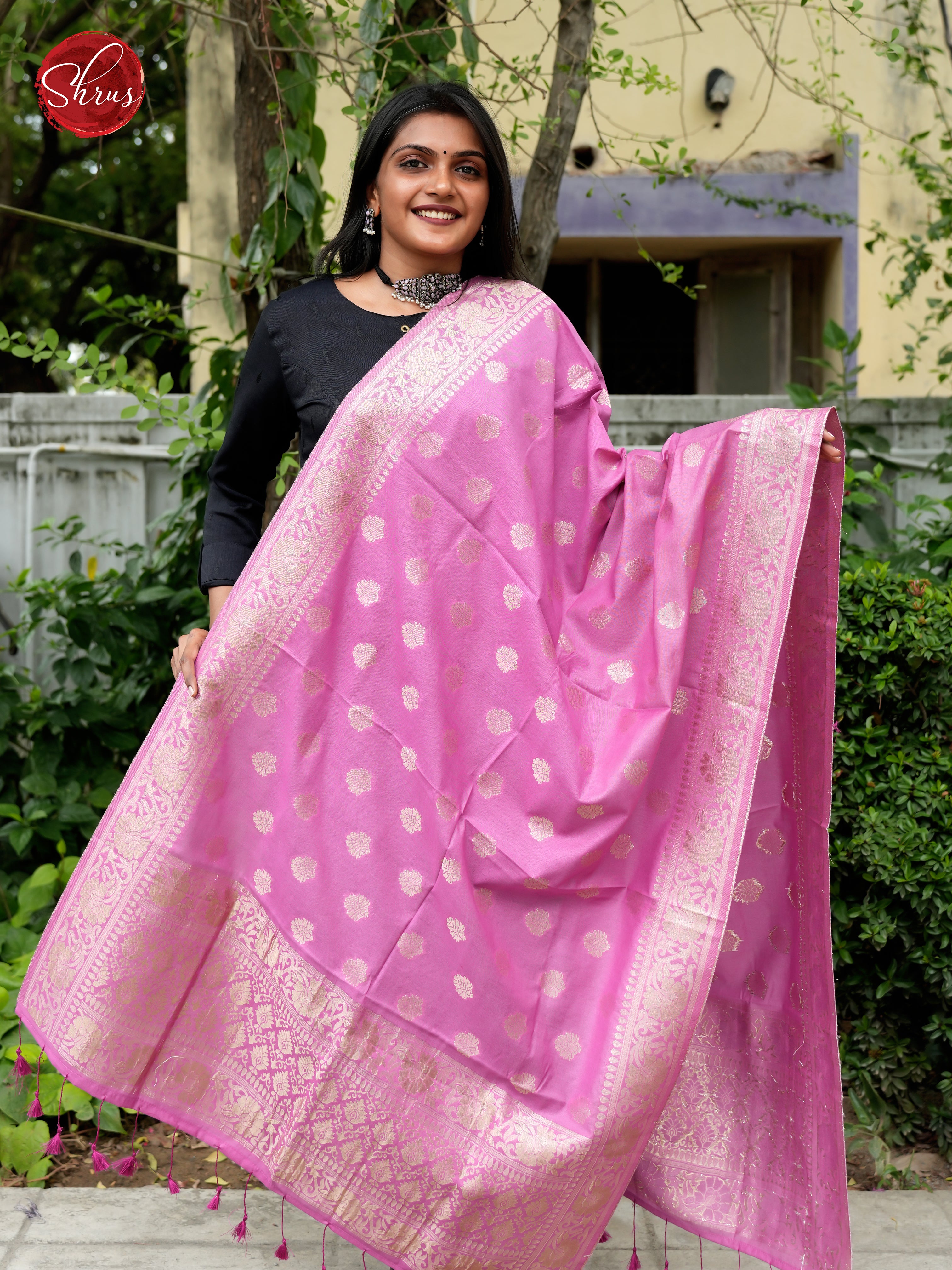 Pink - Semi Banarasi Dupatta - Shop on ShrusEternity.com