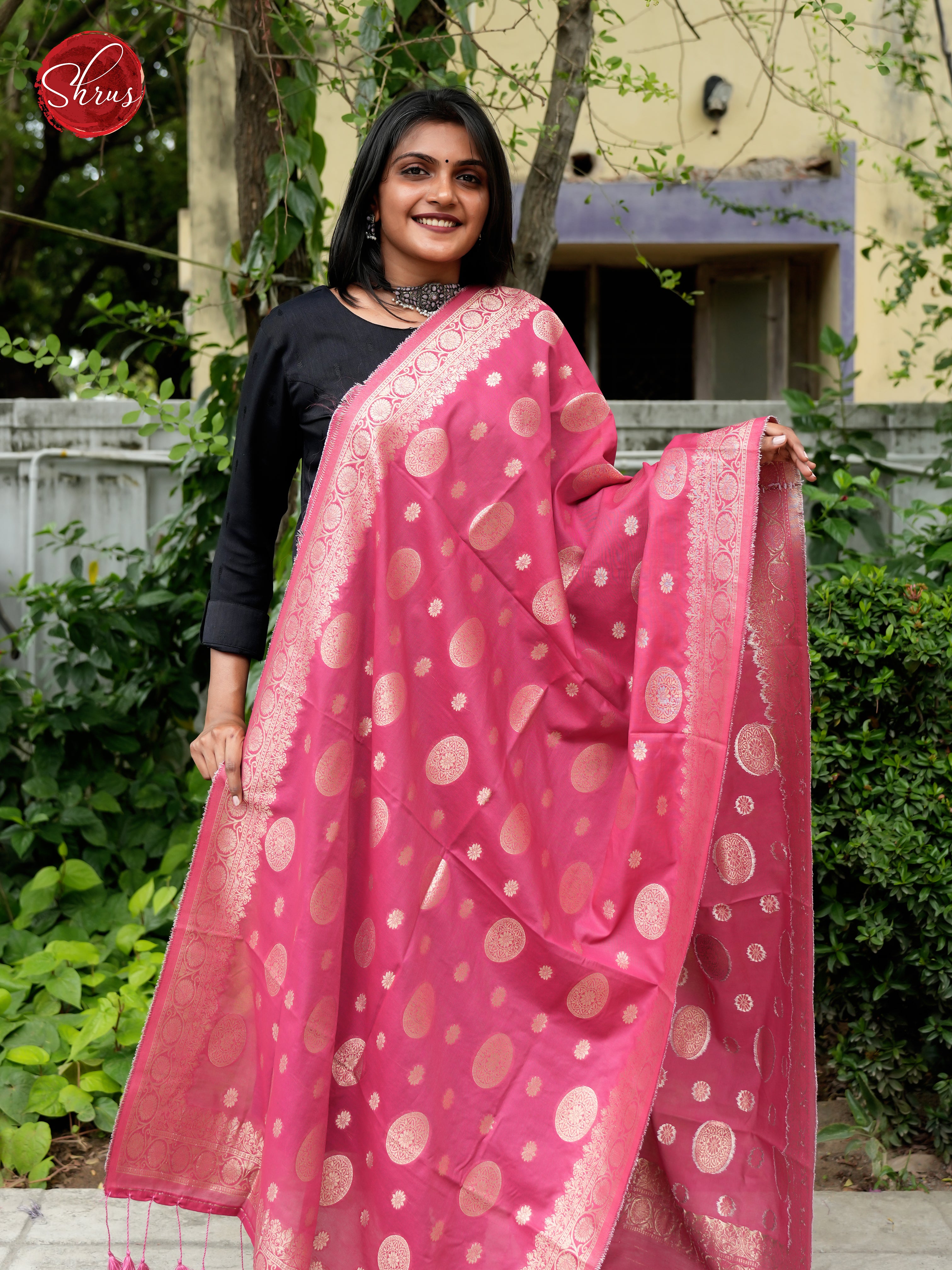 Pink - Semi Banarasi Dupatta - Shop on ShrusEternity.com