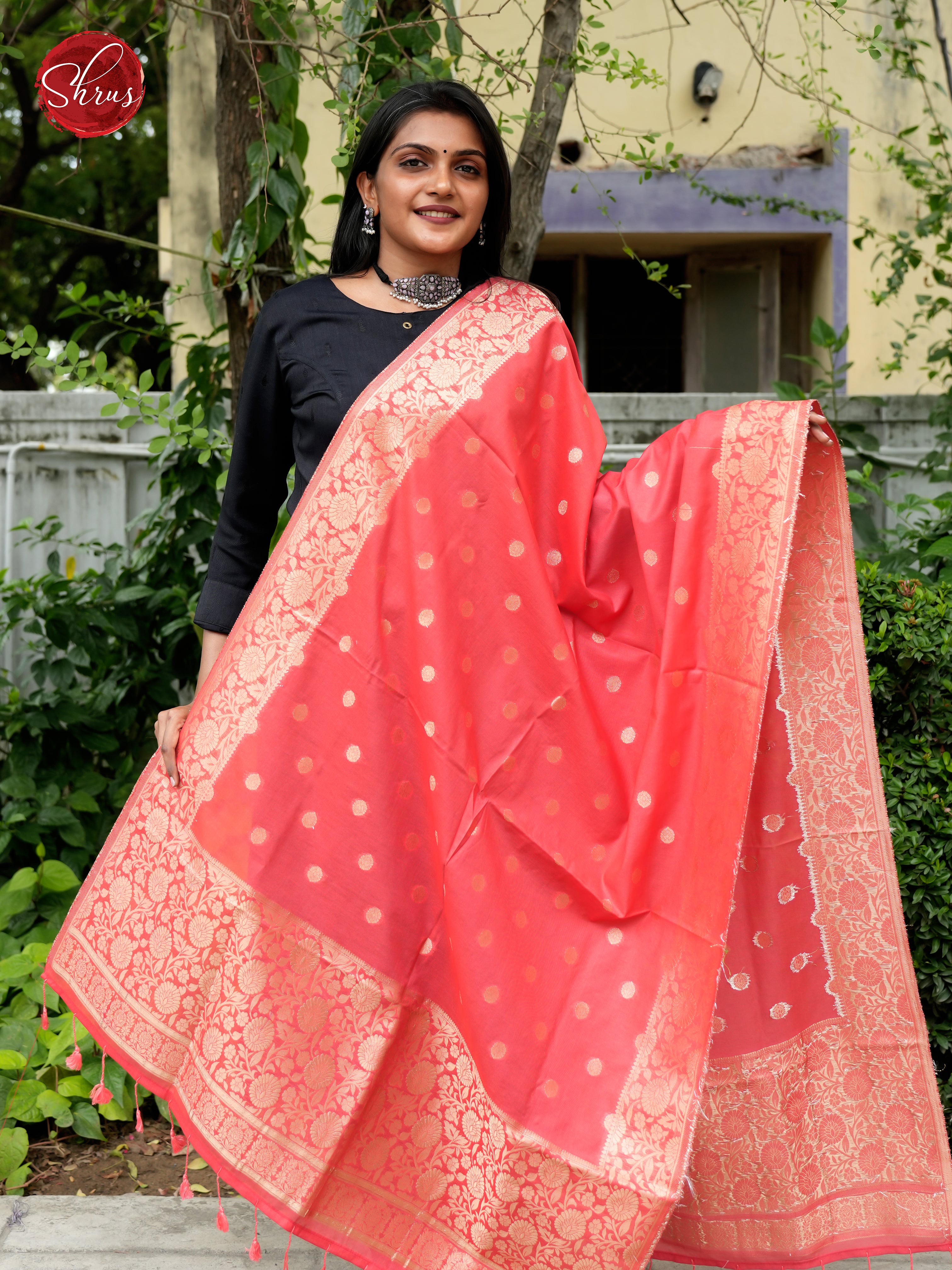 Red - Semi Banarasi Dupatta - Shop on ShrusEternity.com