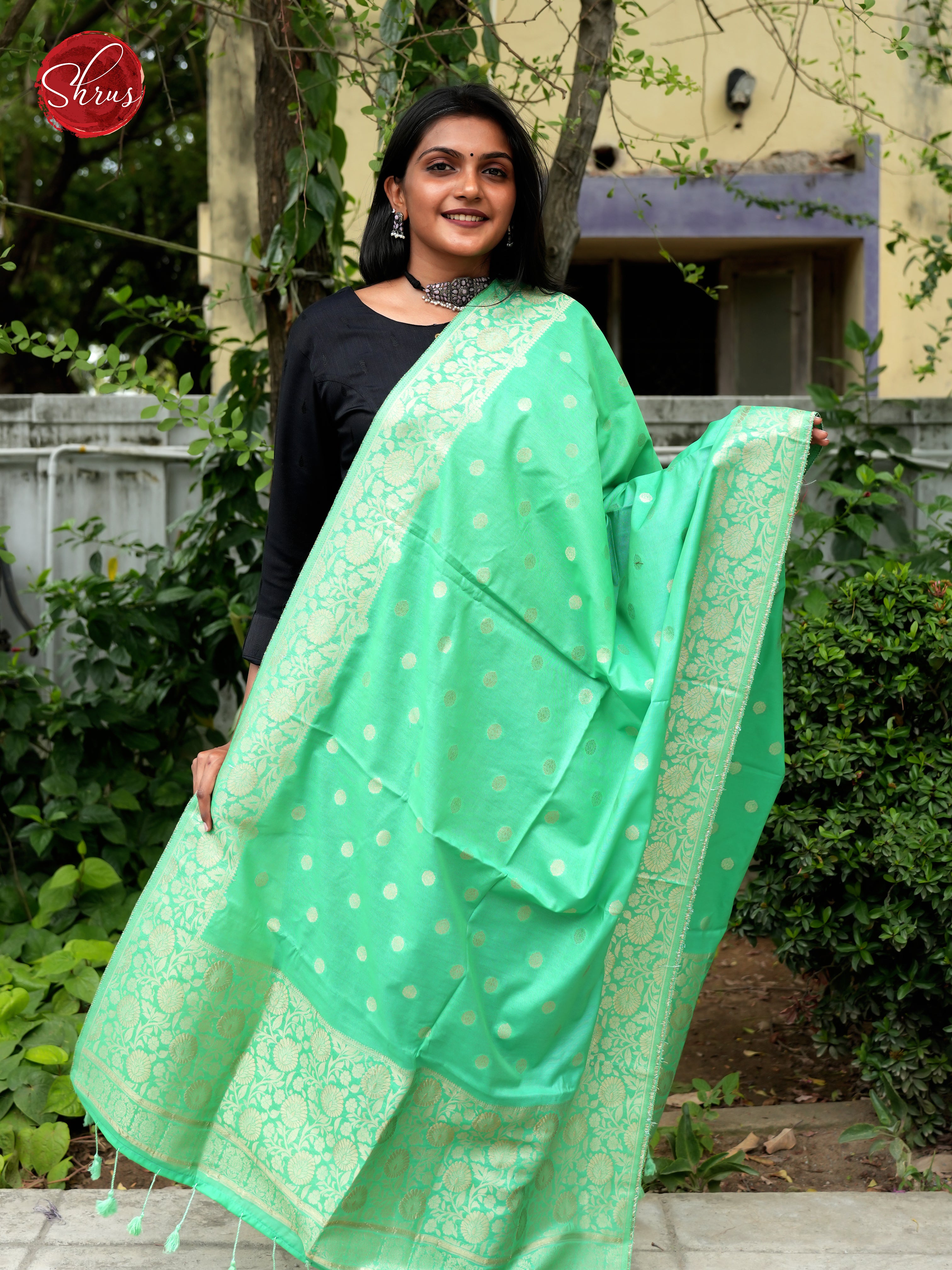 Green - Semi Banarasi Dupatta - Shop on ShrusEternity.com