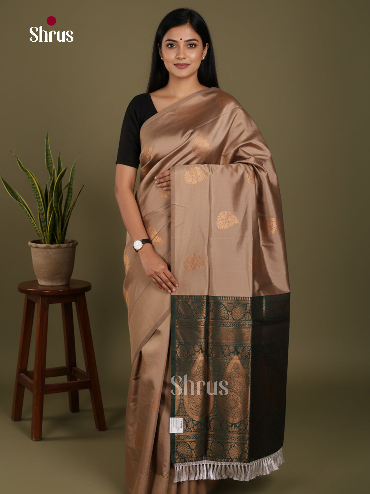 Grey & Green - Semi Softsilk Saree - Shop on Shrus.com